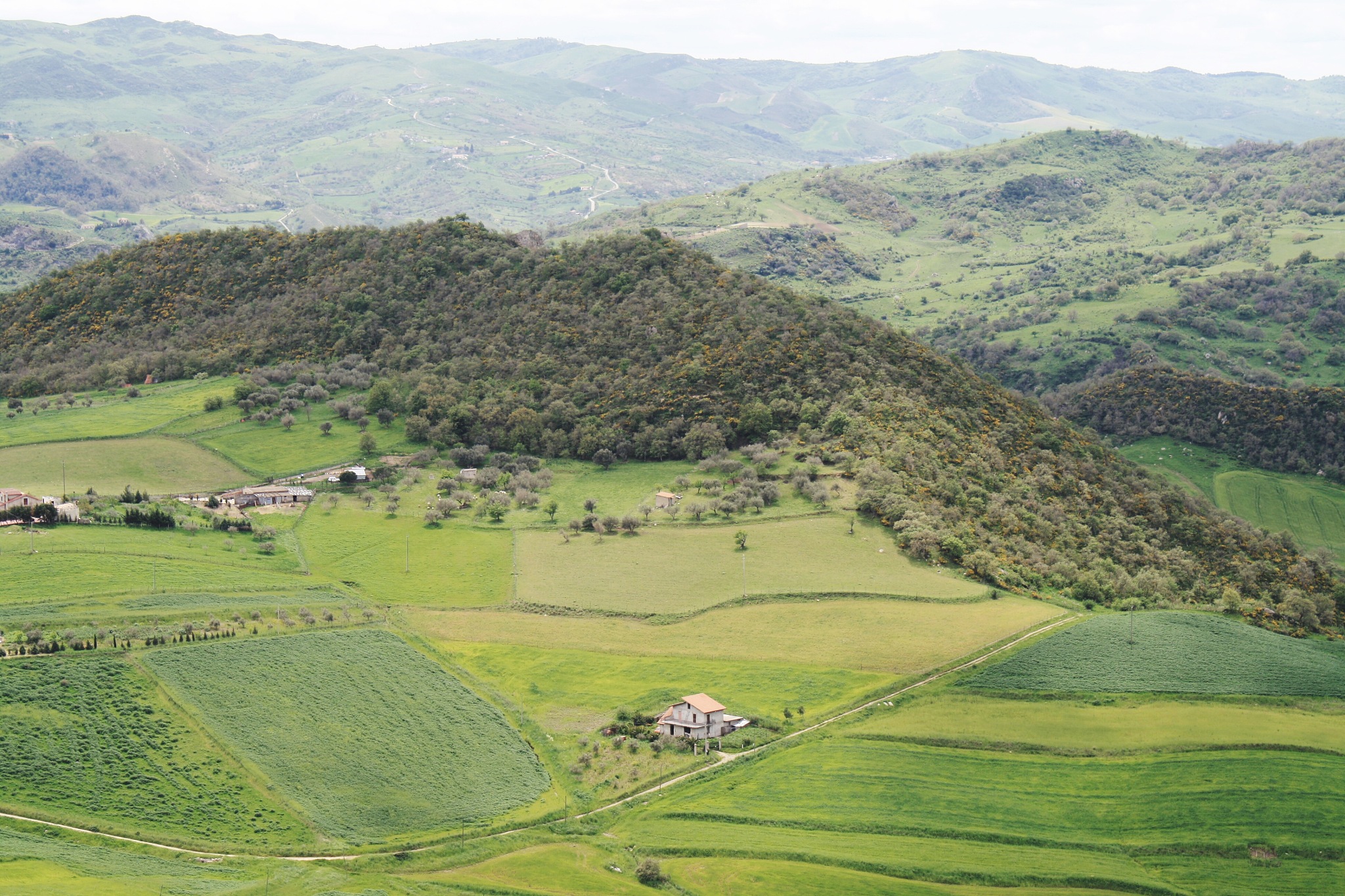 high angle view of agricultural landscape