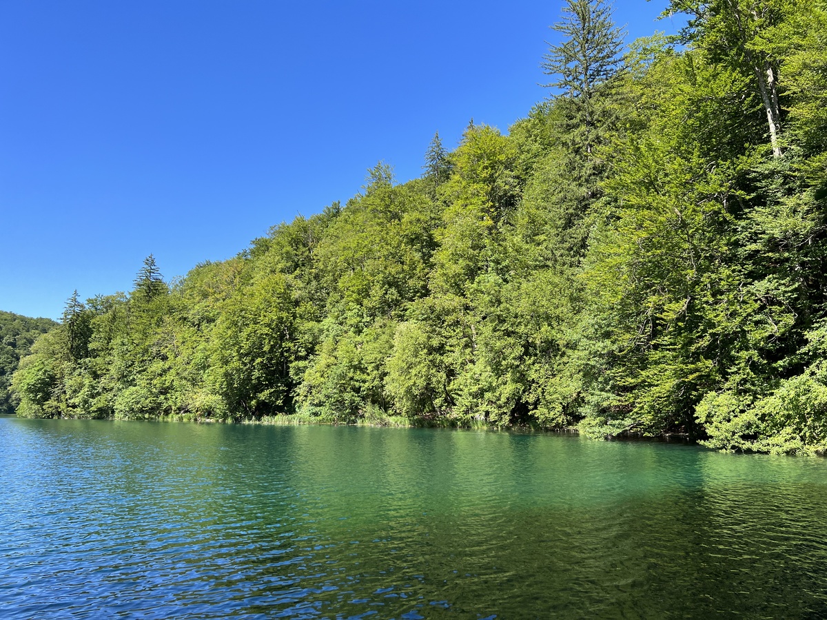 蟠青丛翠是什么意思？ - 形容词解析与应用