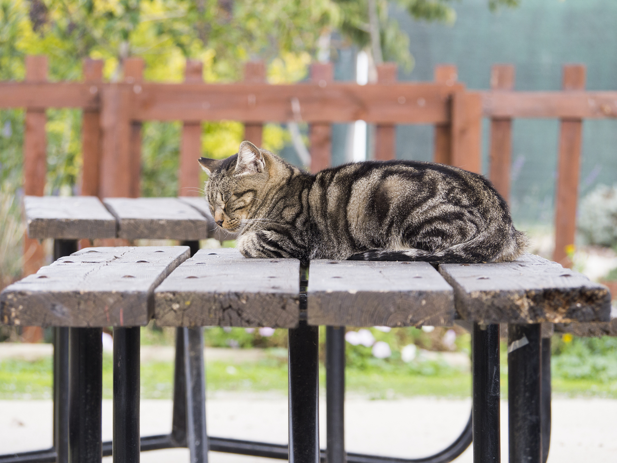 Análisis de Llamadas Telefónicas: Una Perspectiva Temporal