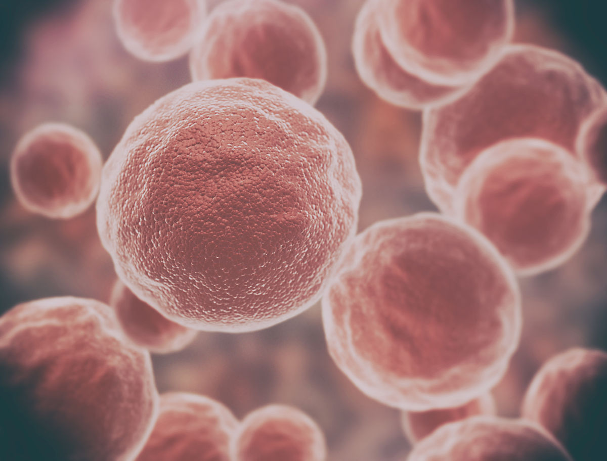 细胞信号转导：细胞如何感知和响应外界环境