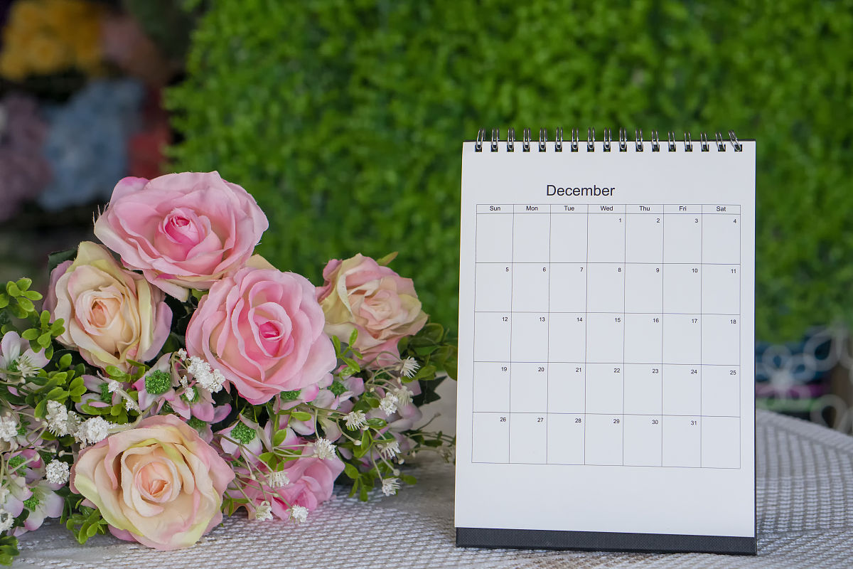 XXX工程工程师评审公示：设计、施工、运行等内容