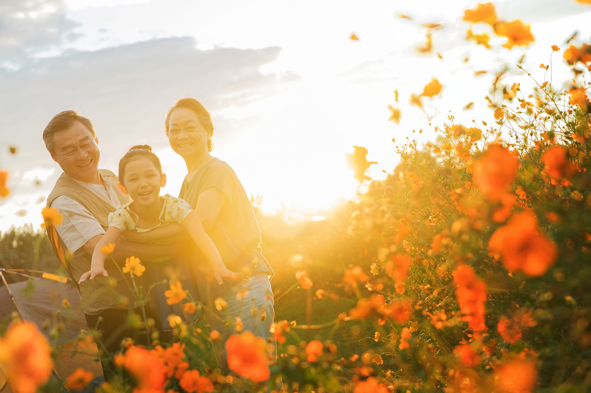 发现生活中的小幸福：感受快乐与满足的秘诀