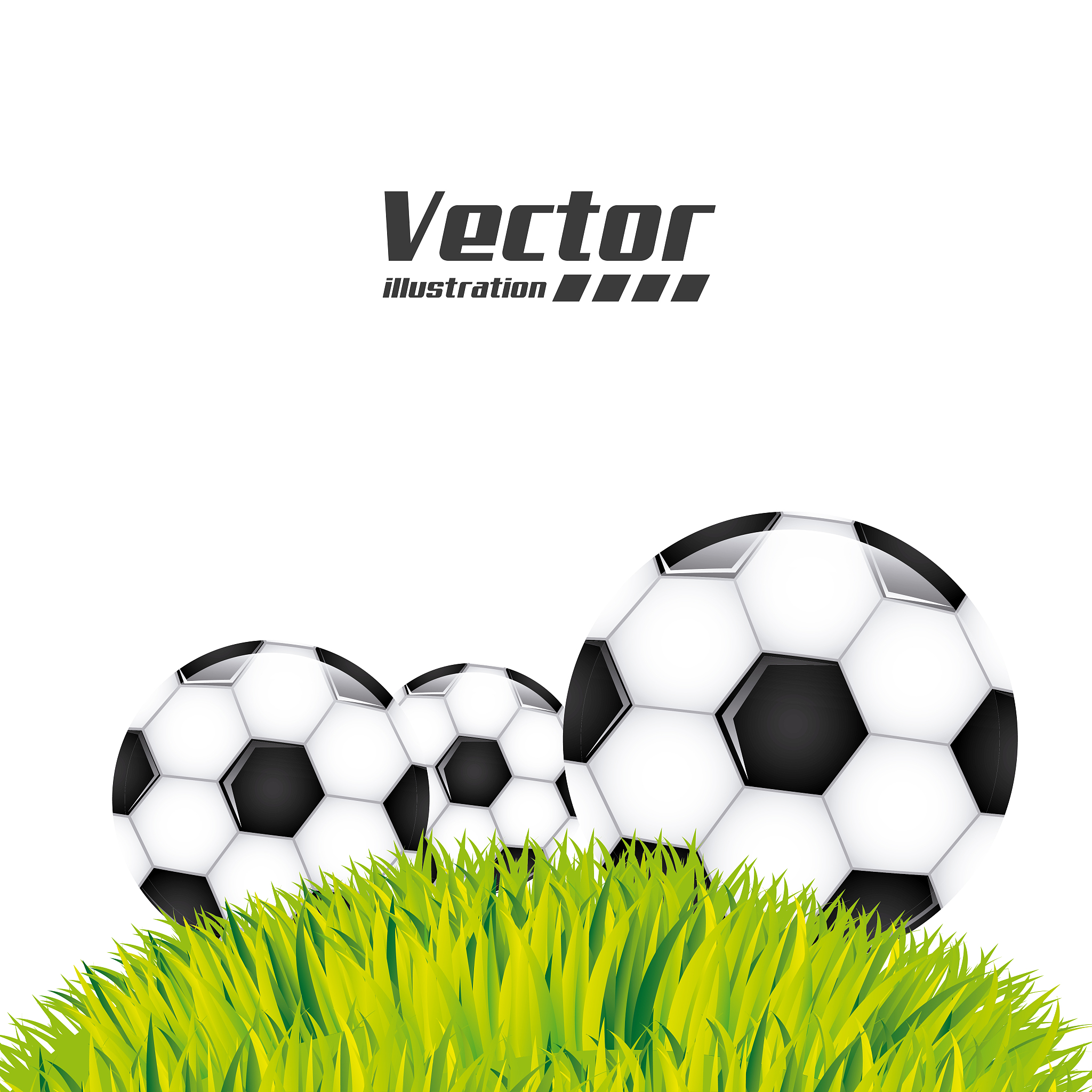 sport design