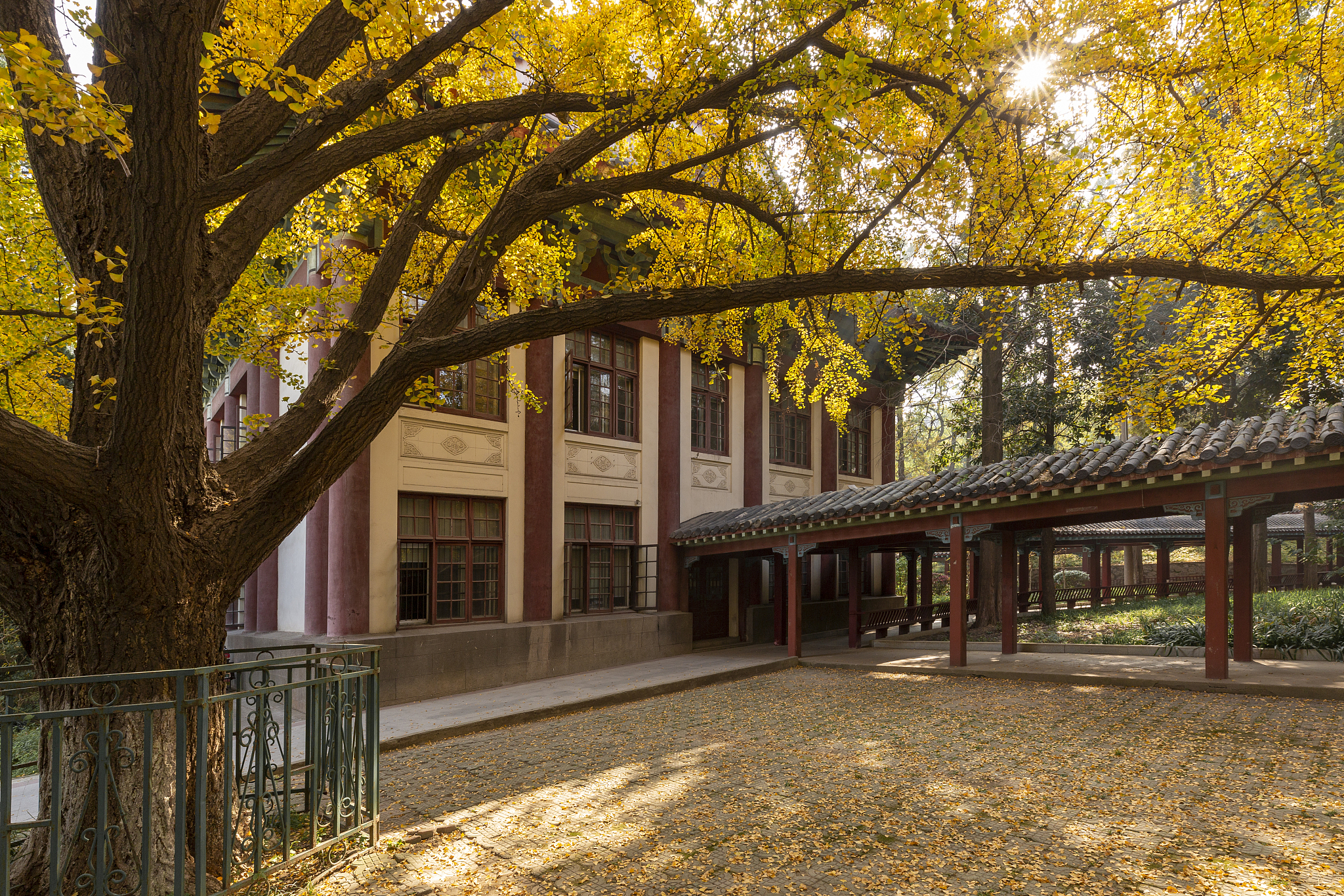 2019年成都信息工程大学银杏酒店管理学院人力资源管理本科专业介绍
