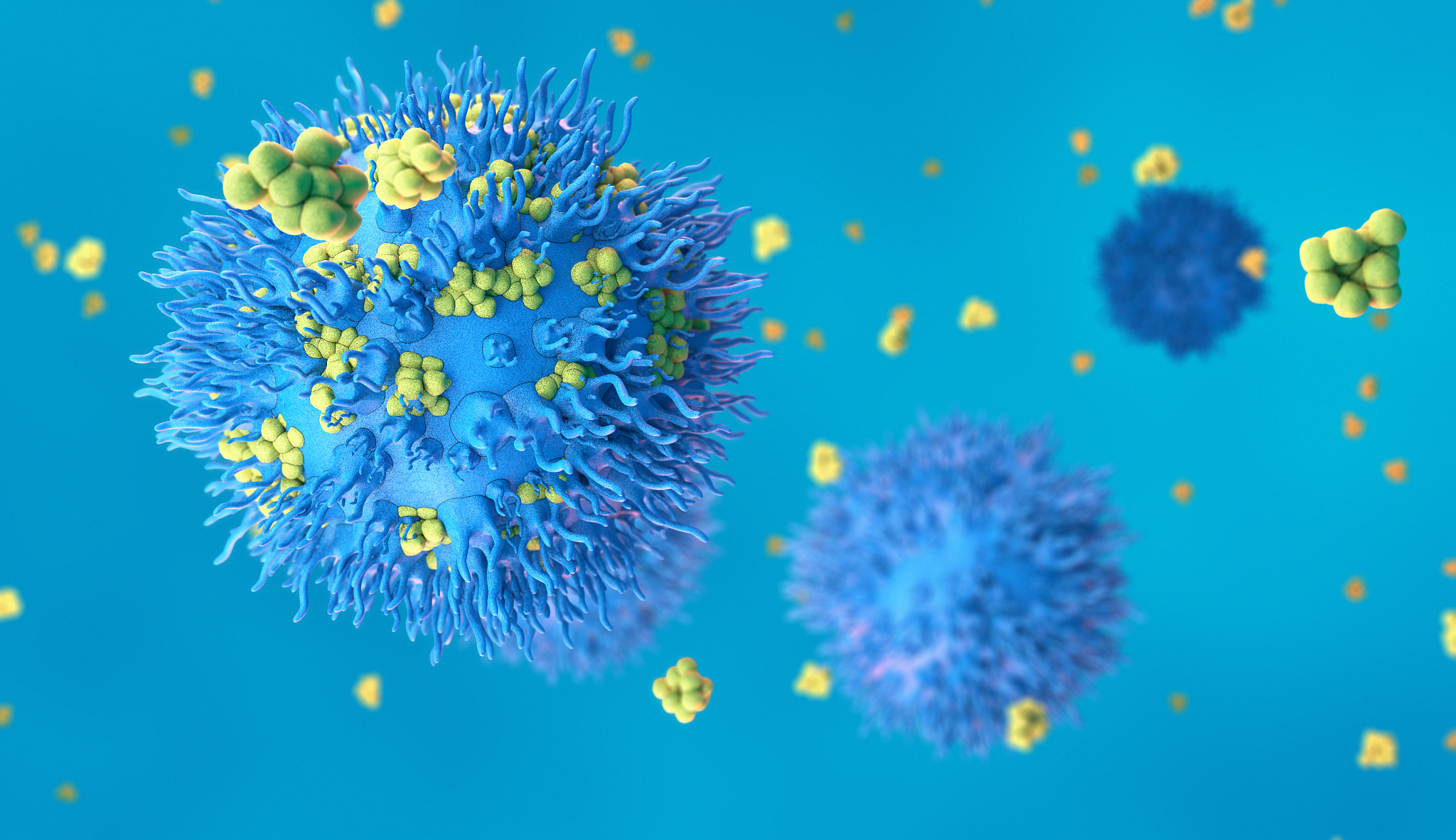 白细胞：人体免疫系统的守护者