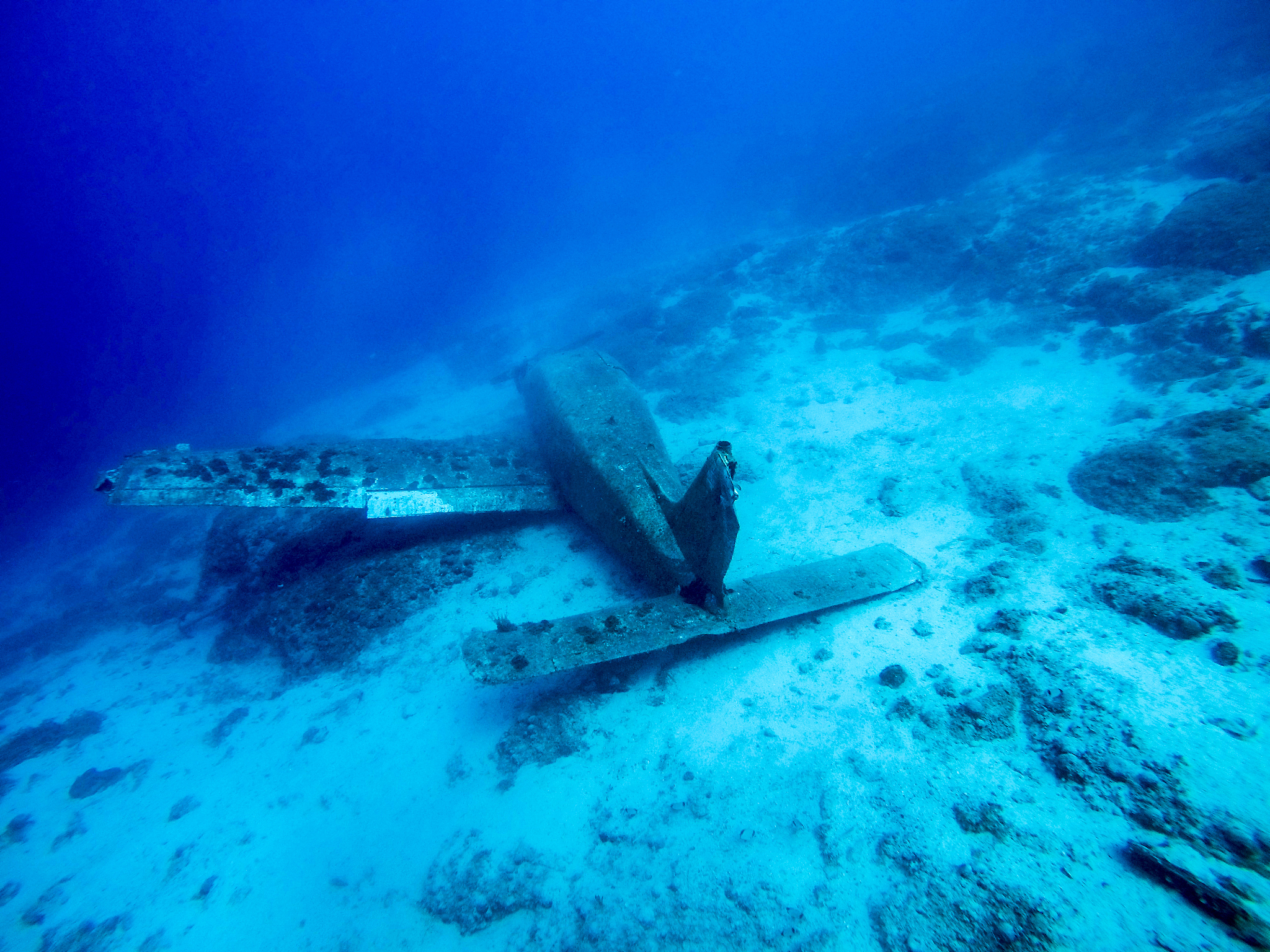 wreck diving