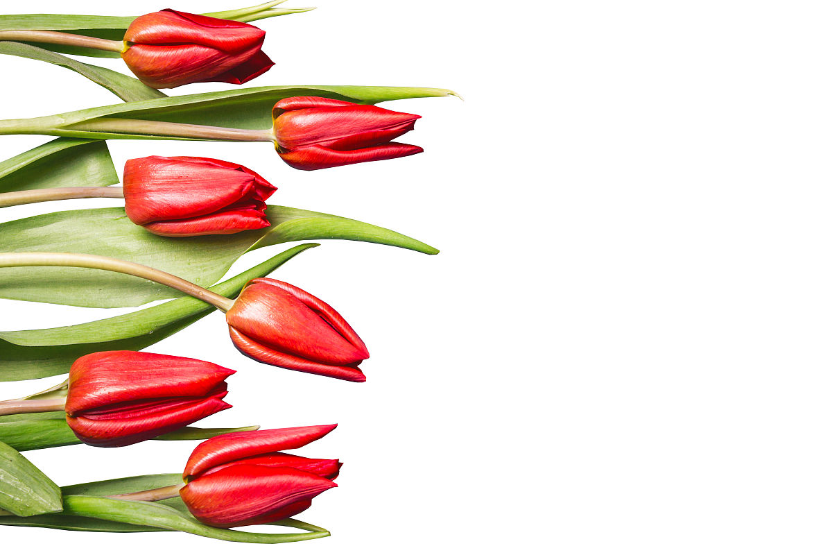 母亲节送妈妈一份特别的礼物：古法推拿体验！