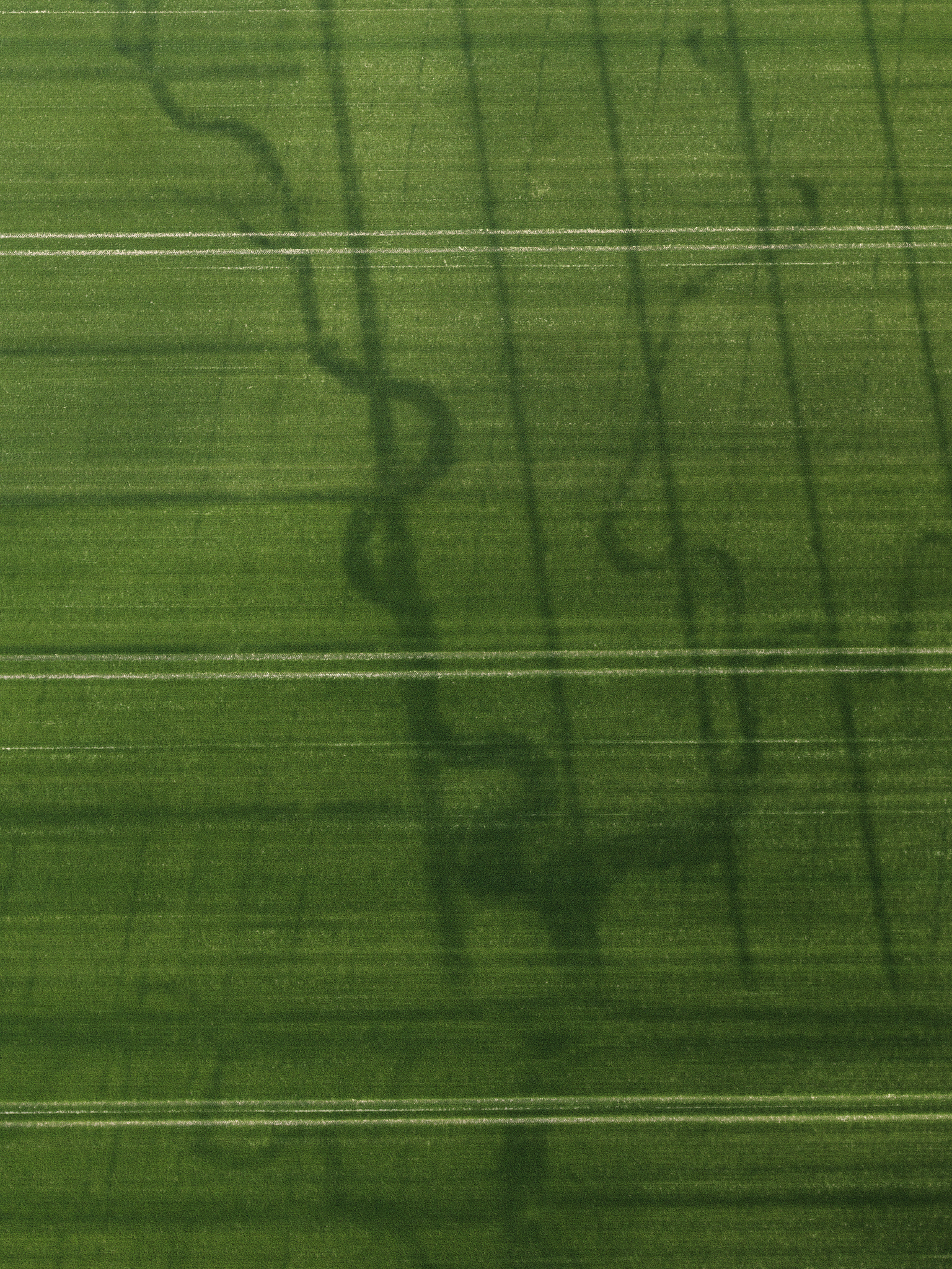 陇南农业学校2021年热门就业专业推荐 - 未来发展前景广阔