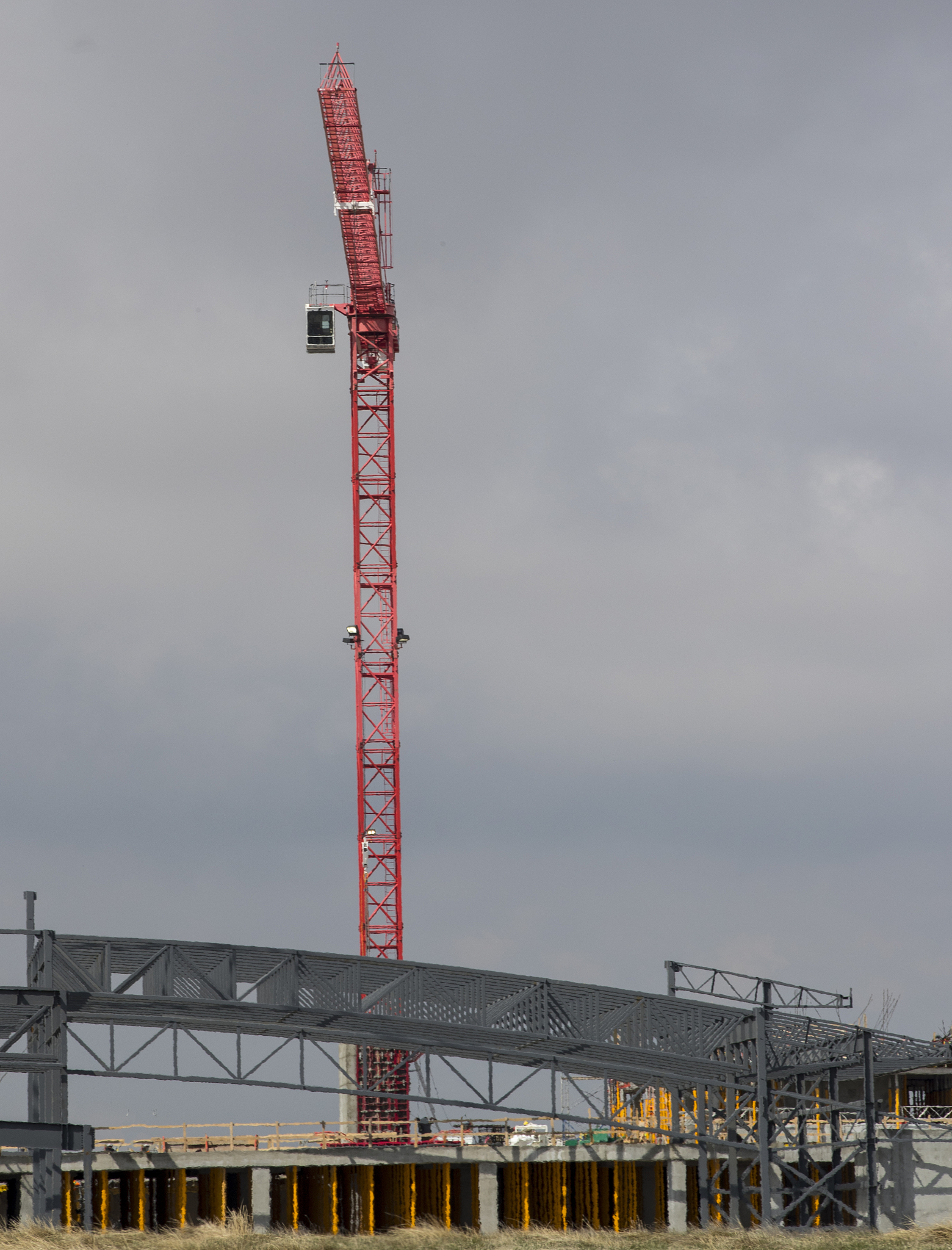 Crane: Meaning & Types - From Birds to Construction Equipment