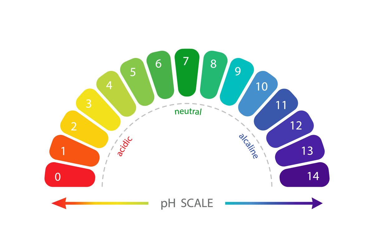 L-苯丙氨酸水解产生铵根离子和反式肉桂酸溶液pH会如何变化