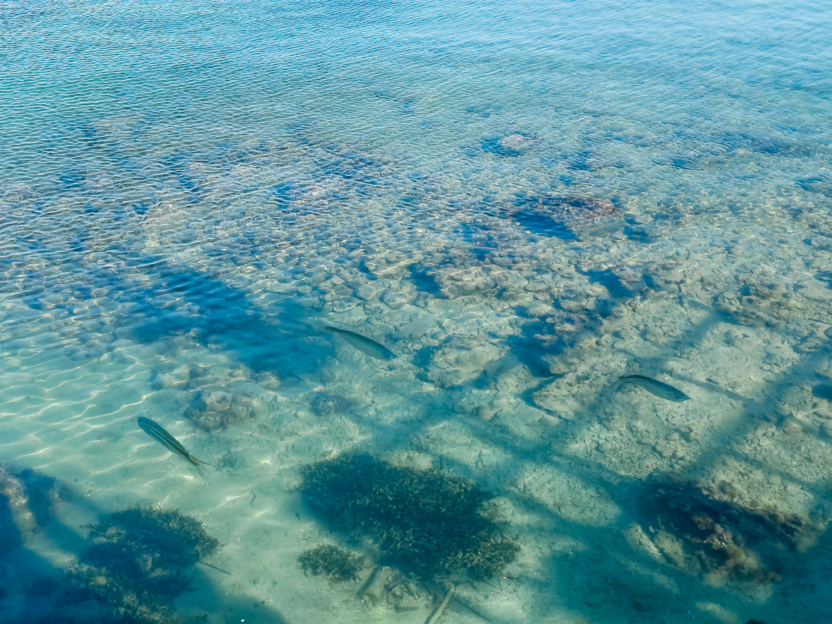 海和湖有什么区别？