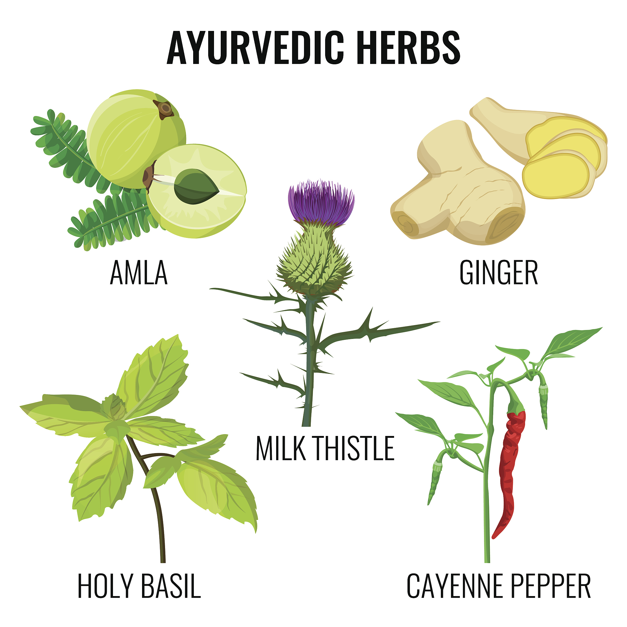 Phylogenetic Incongruence between Plastome and Nuclear Data in the Genus *Fargesia*
