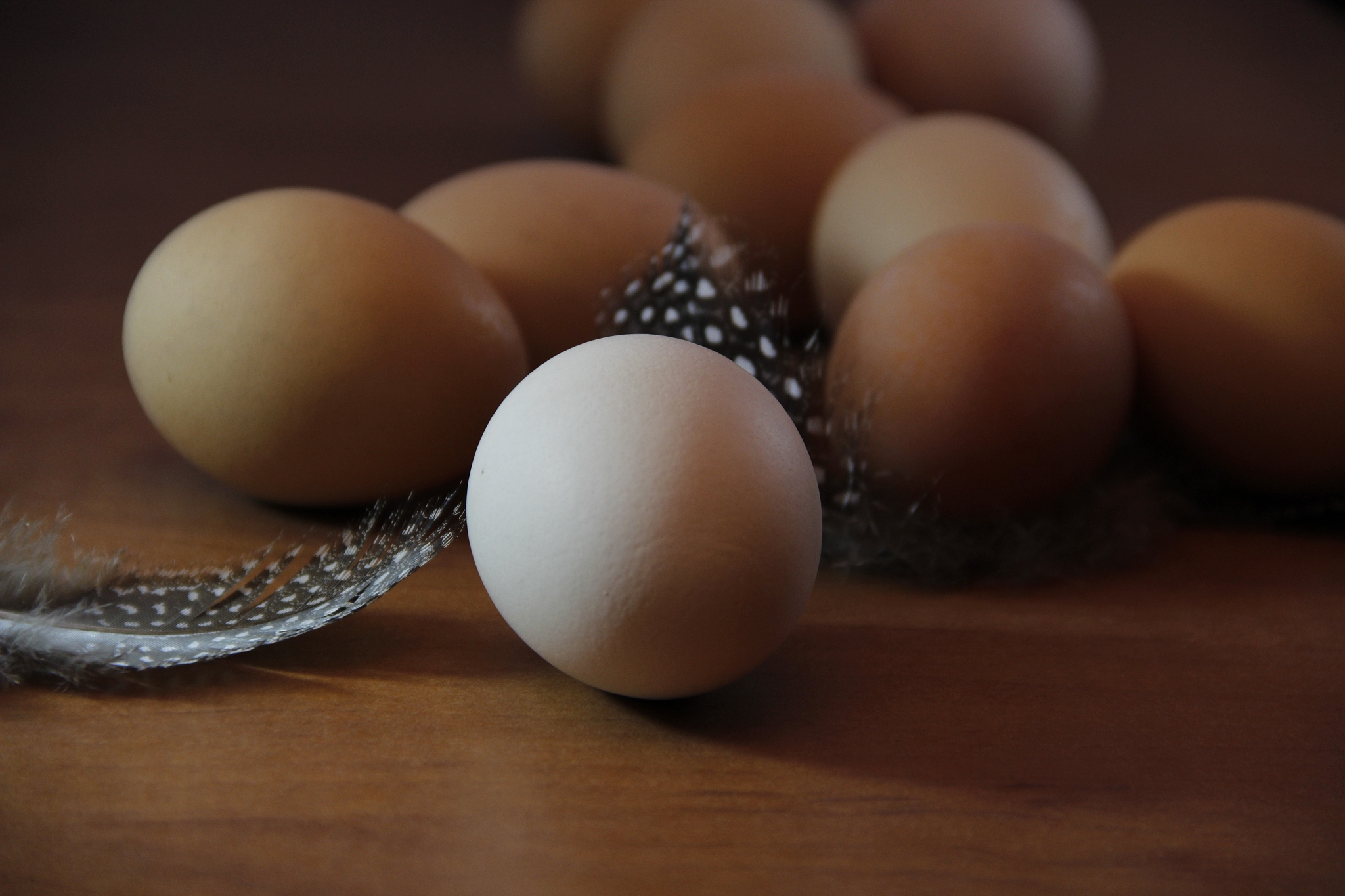 chicken eggs