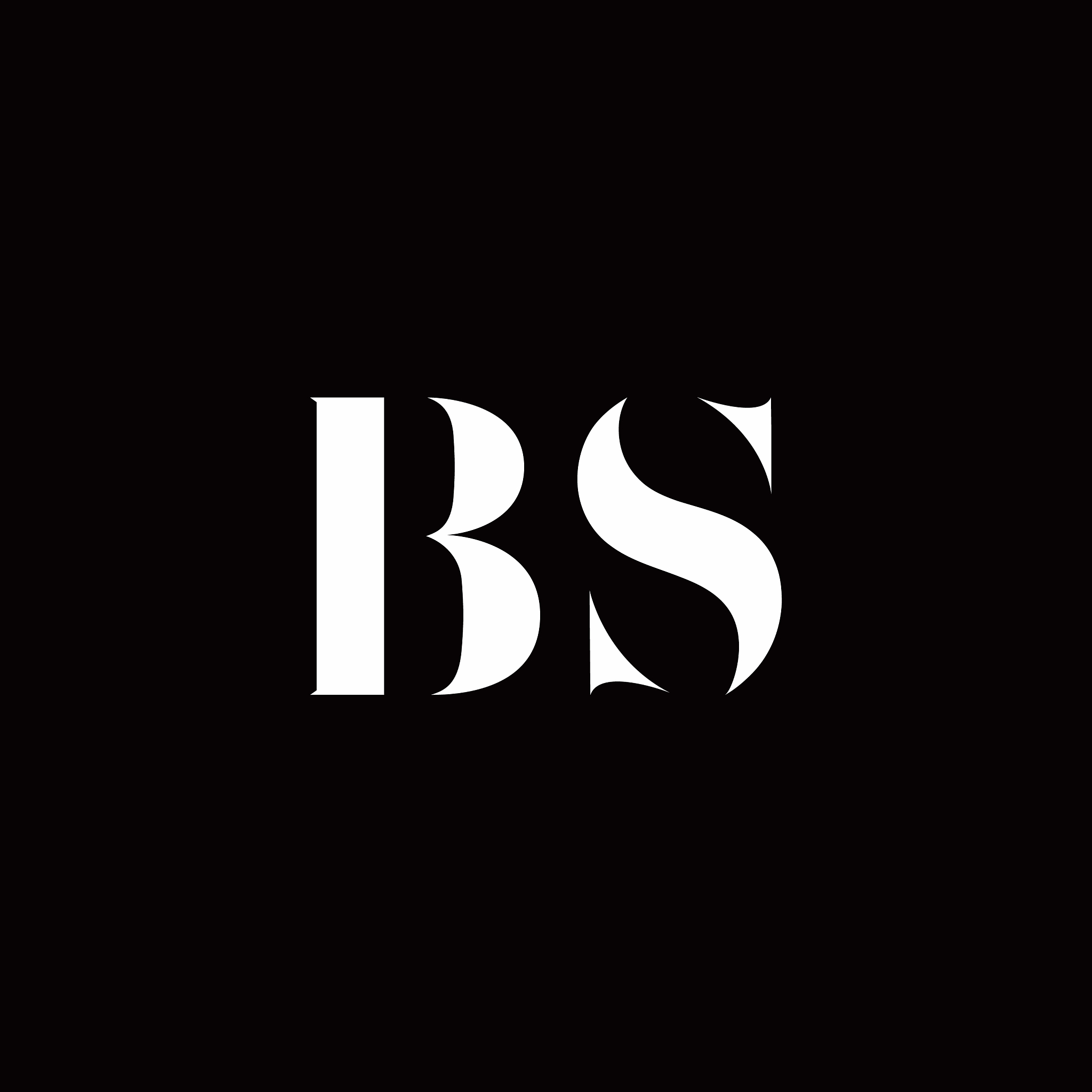 bs logo letter initial logo designs template