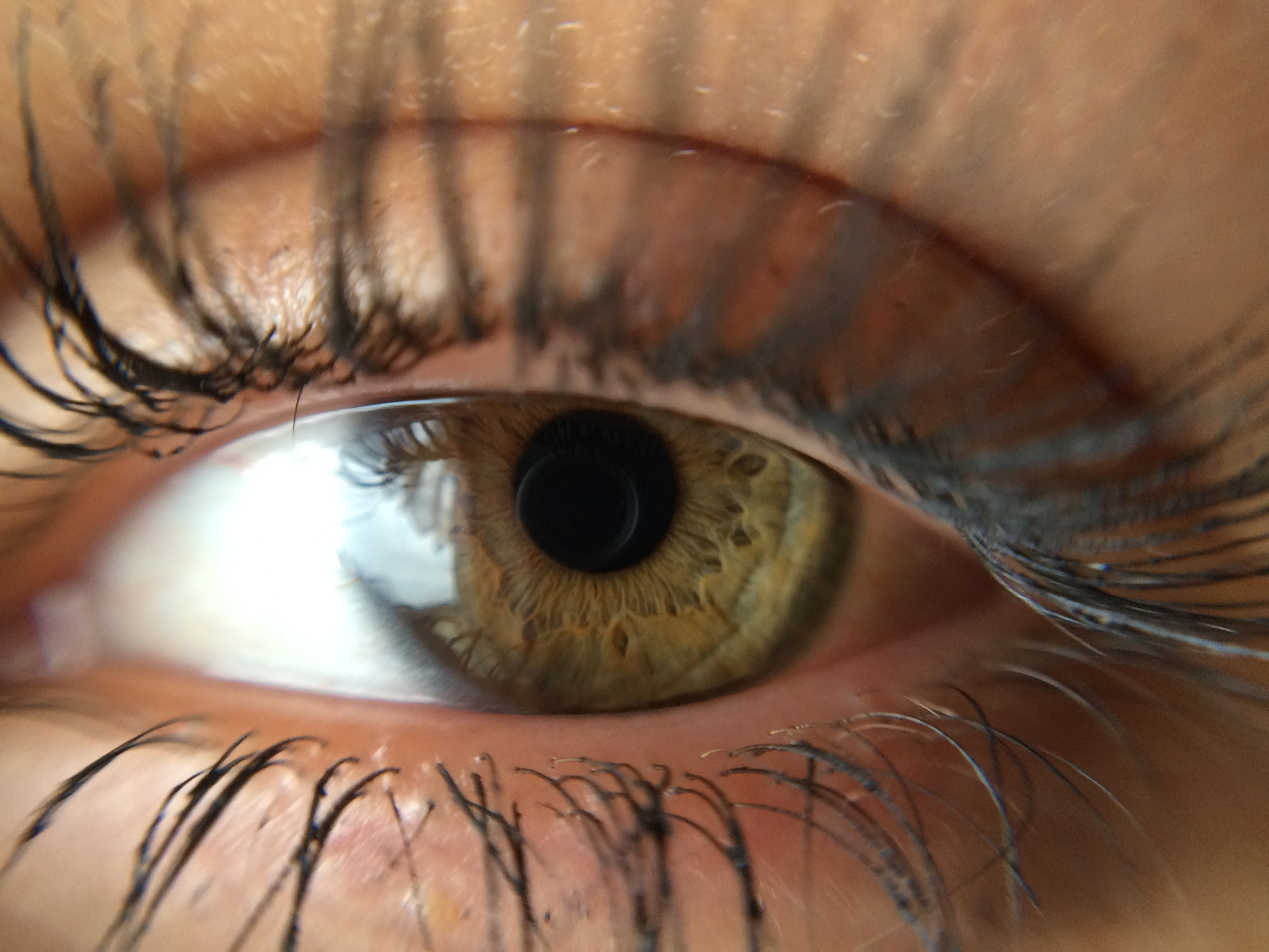 extreme close-up of human eye