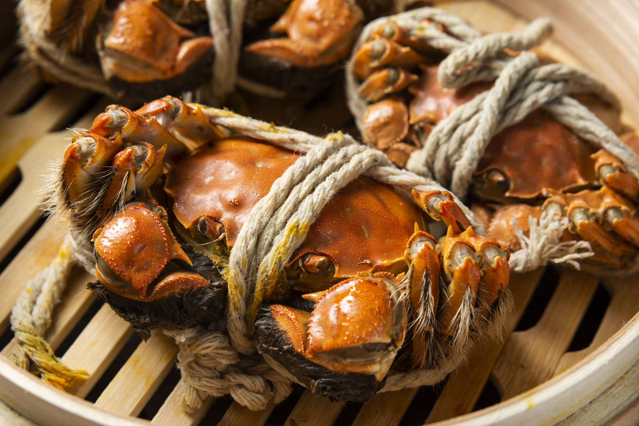 在广东四月份螃蟹多少钱一斤