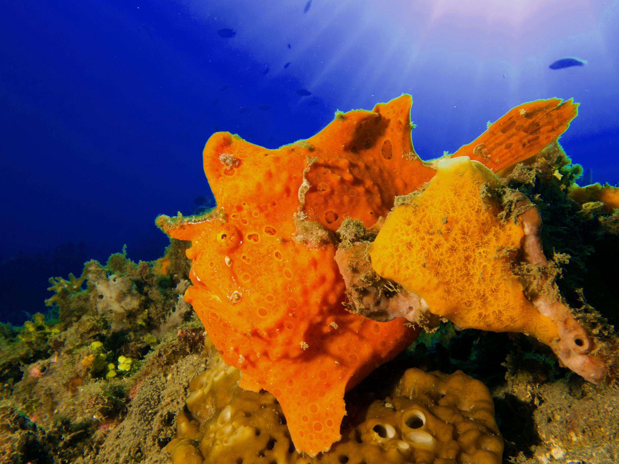 function C = GaoA B a b lA_gray = rgb2grayA;B_gray = rgb2grayB;A_sub = A_grayaa+sizeB_gray 1 - 1 bb+sizeB_gray 2 - 1;weighted_sum = 1 - l A_sub + l B_gray;A_grayaa+sizeB_gray 1 - 1 bb+sizeB_gray 2 -