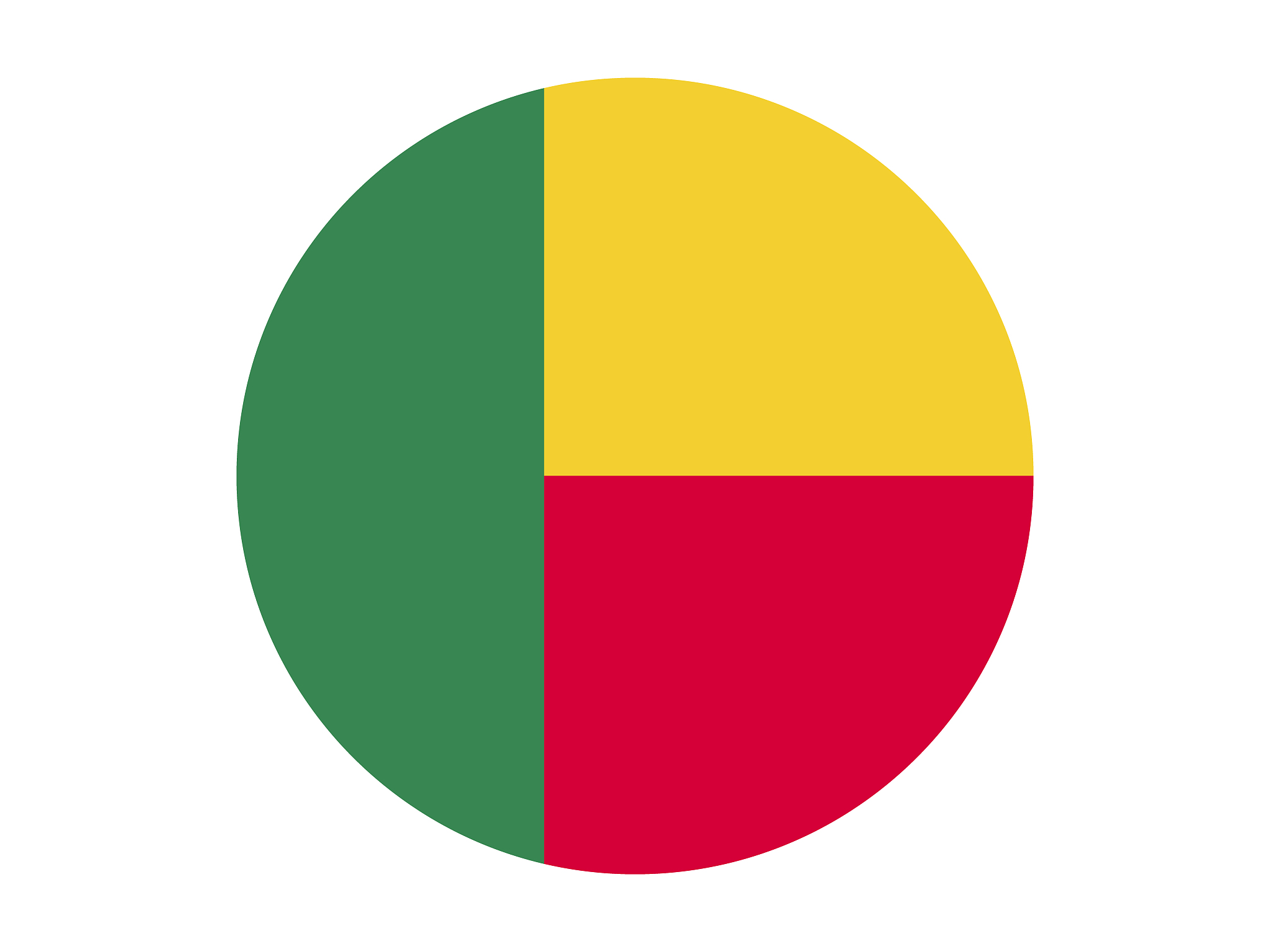 benin flag
