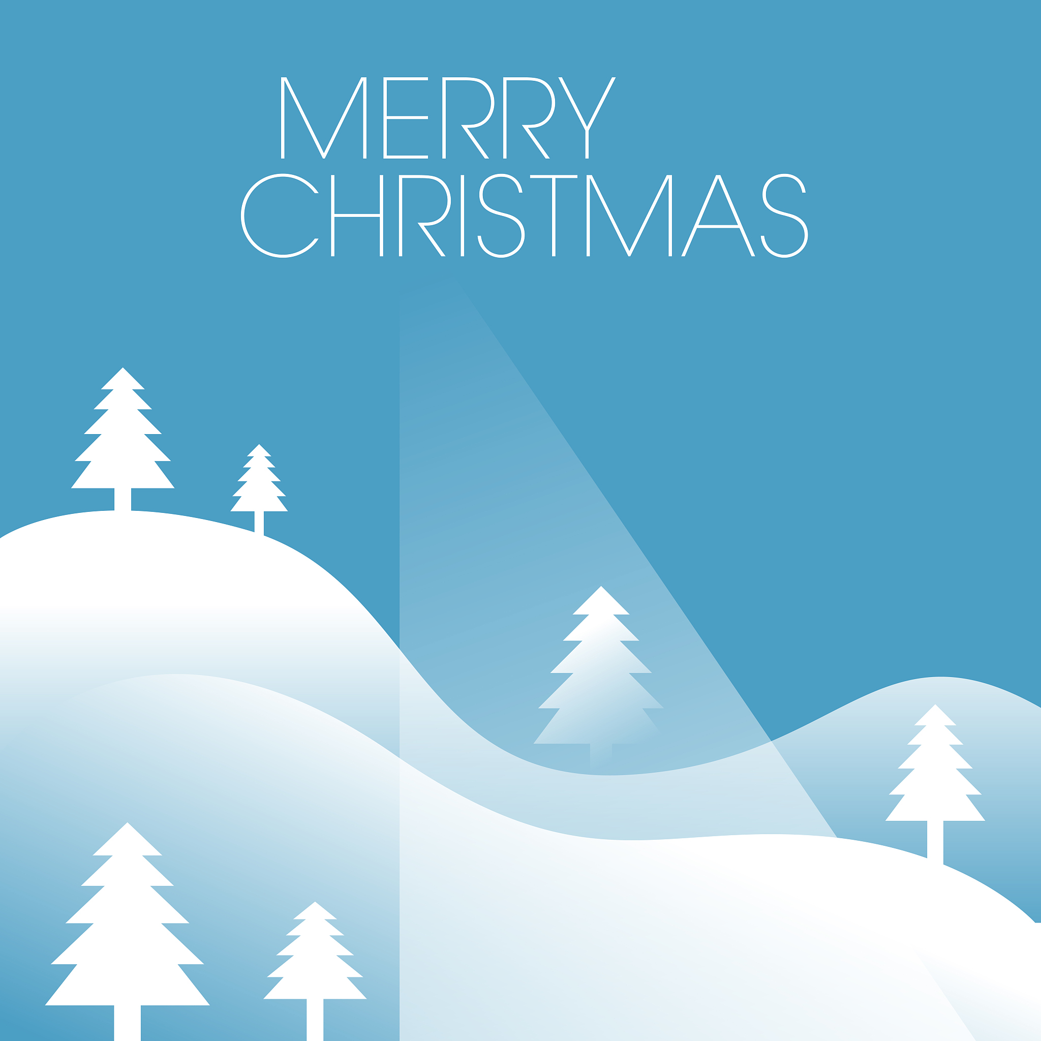 Long-Term Field Experiment Challenges Conventional View on Winter Wheat and Summer Maize Rotation in North China Plain