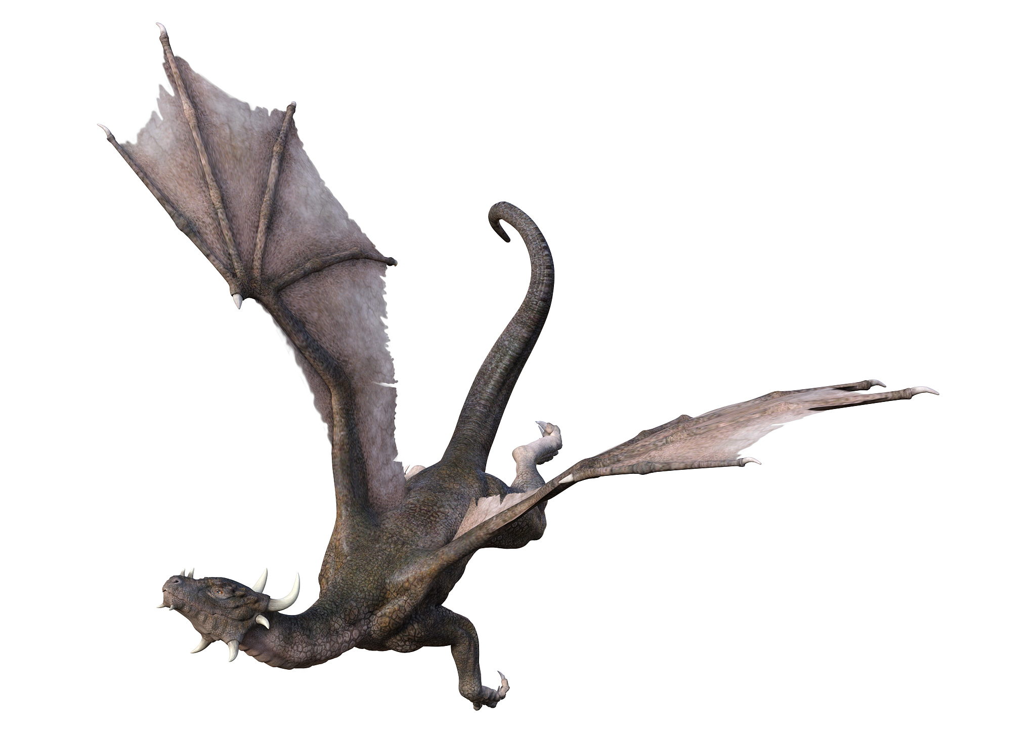 3d illustration fantasy dragon on white