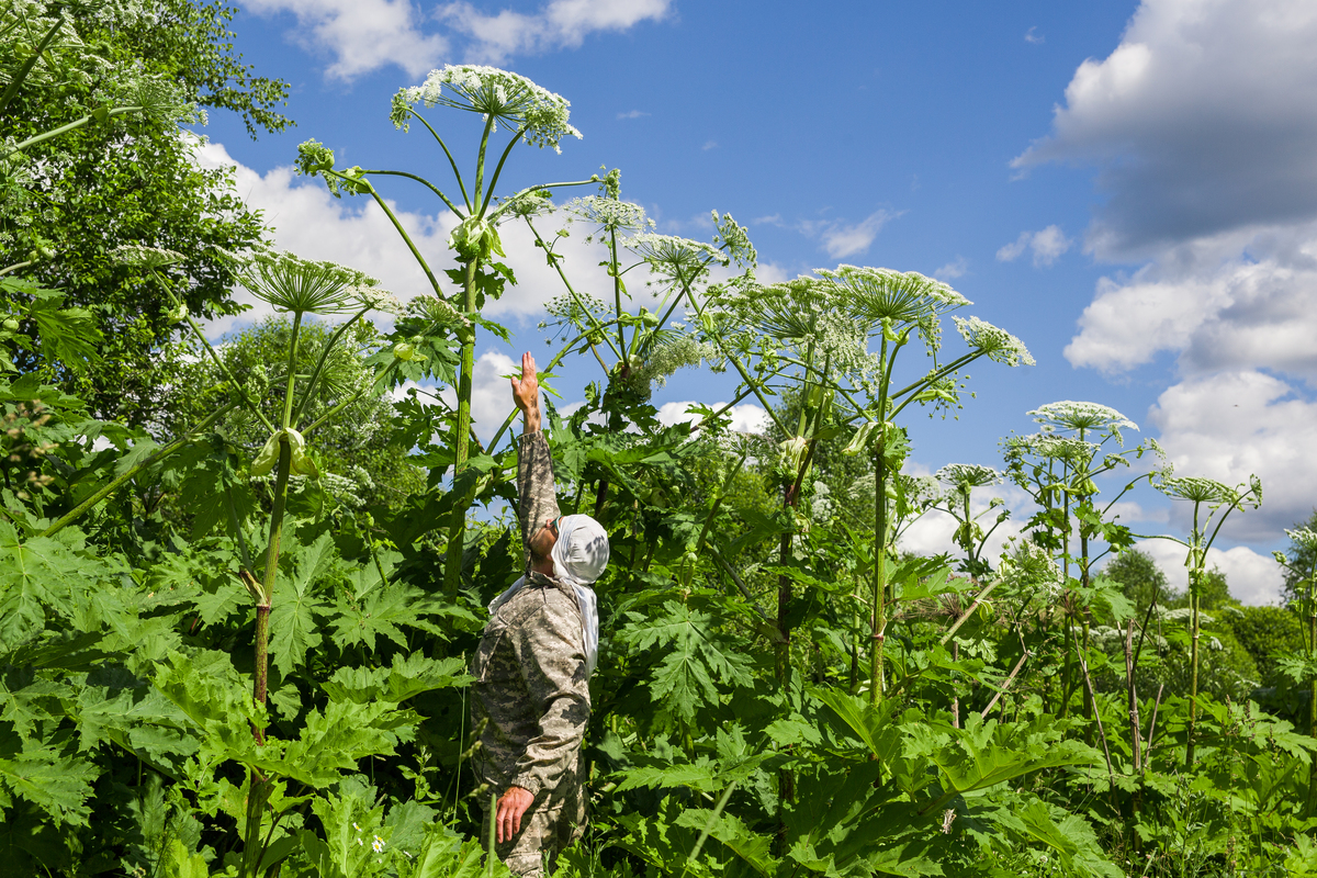 Crop Protection 期刊研究范围：从病虫害防治到生态农业