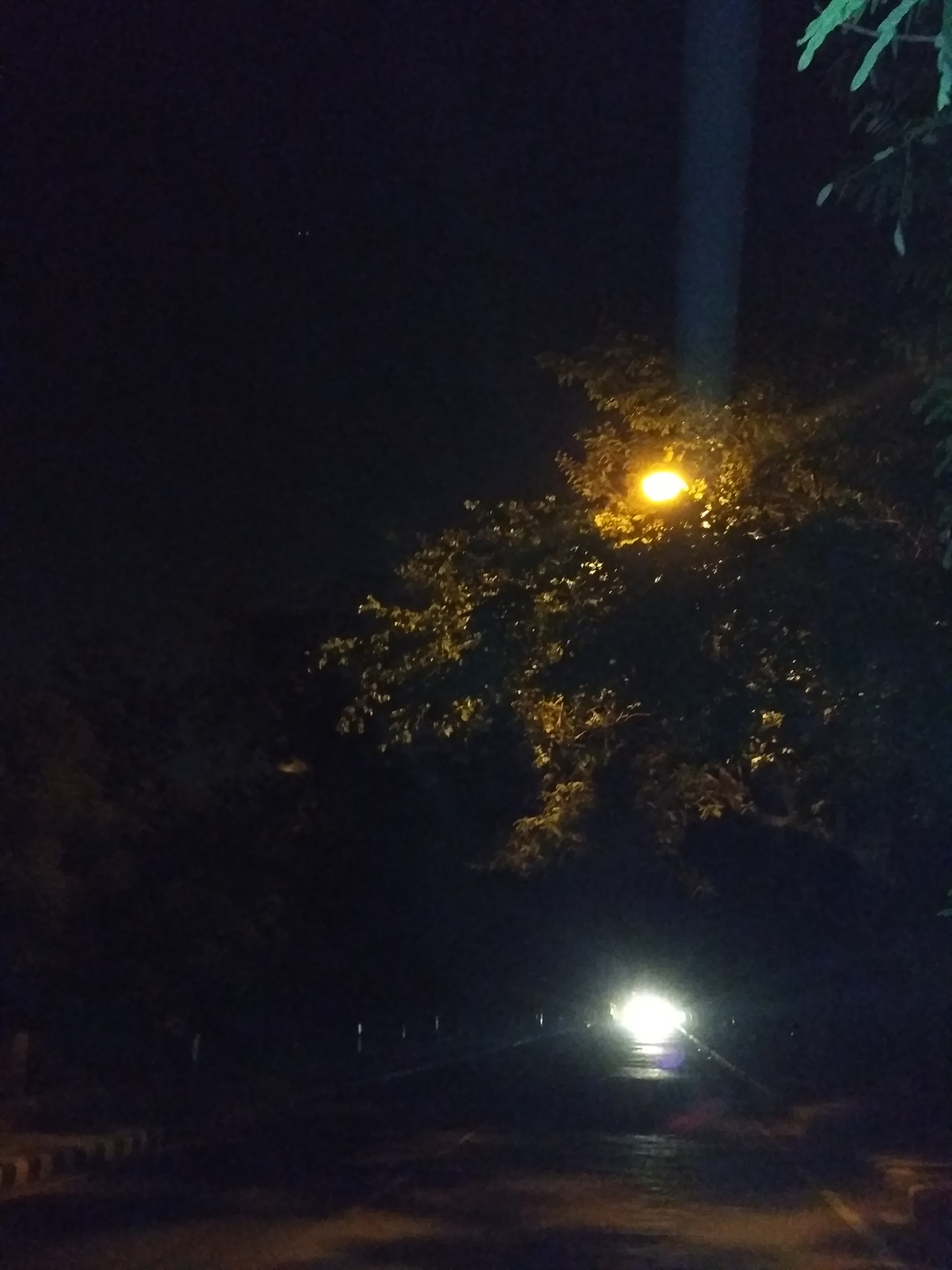 怎样评价《你是长夜也是灯火》