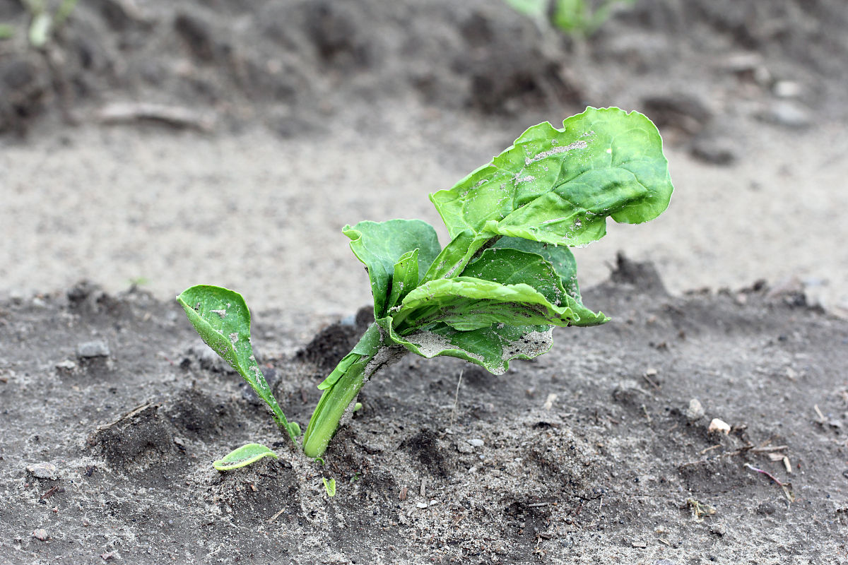 毕节农业学校2021年招生简章