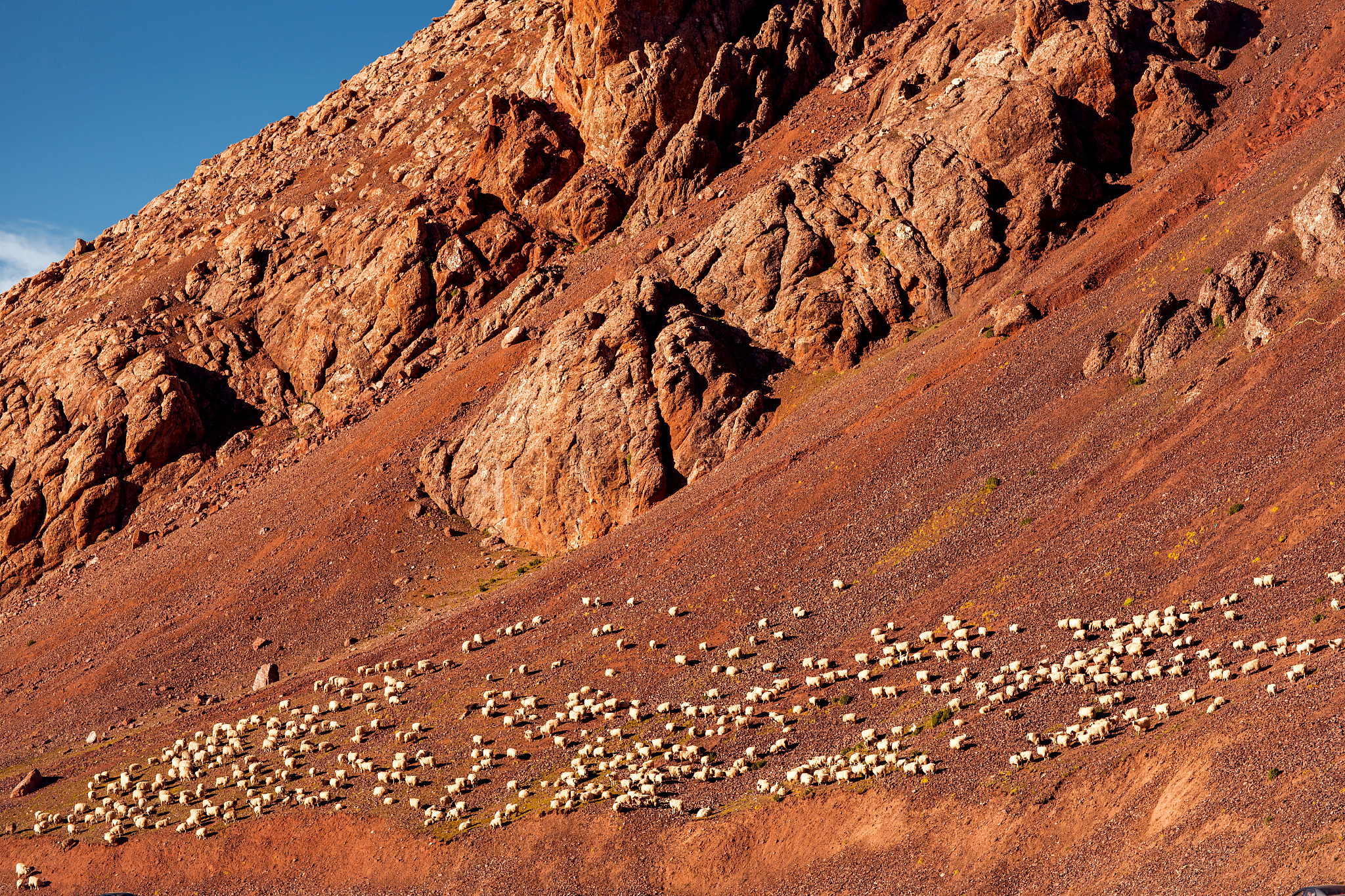 沙雕班级群名大盘点：五個讓你笑破肚皮的創意名稱！