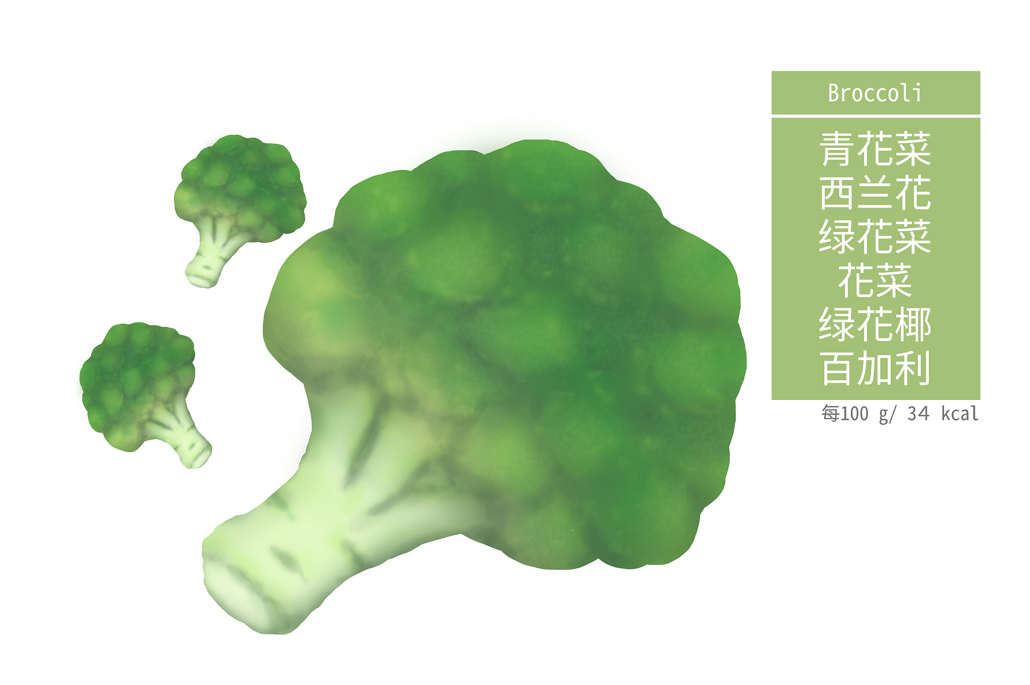 一球完整的清脆营养丰富具抗癌功效的花椰菜
