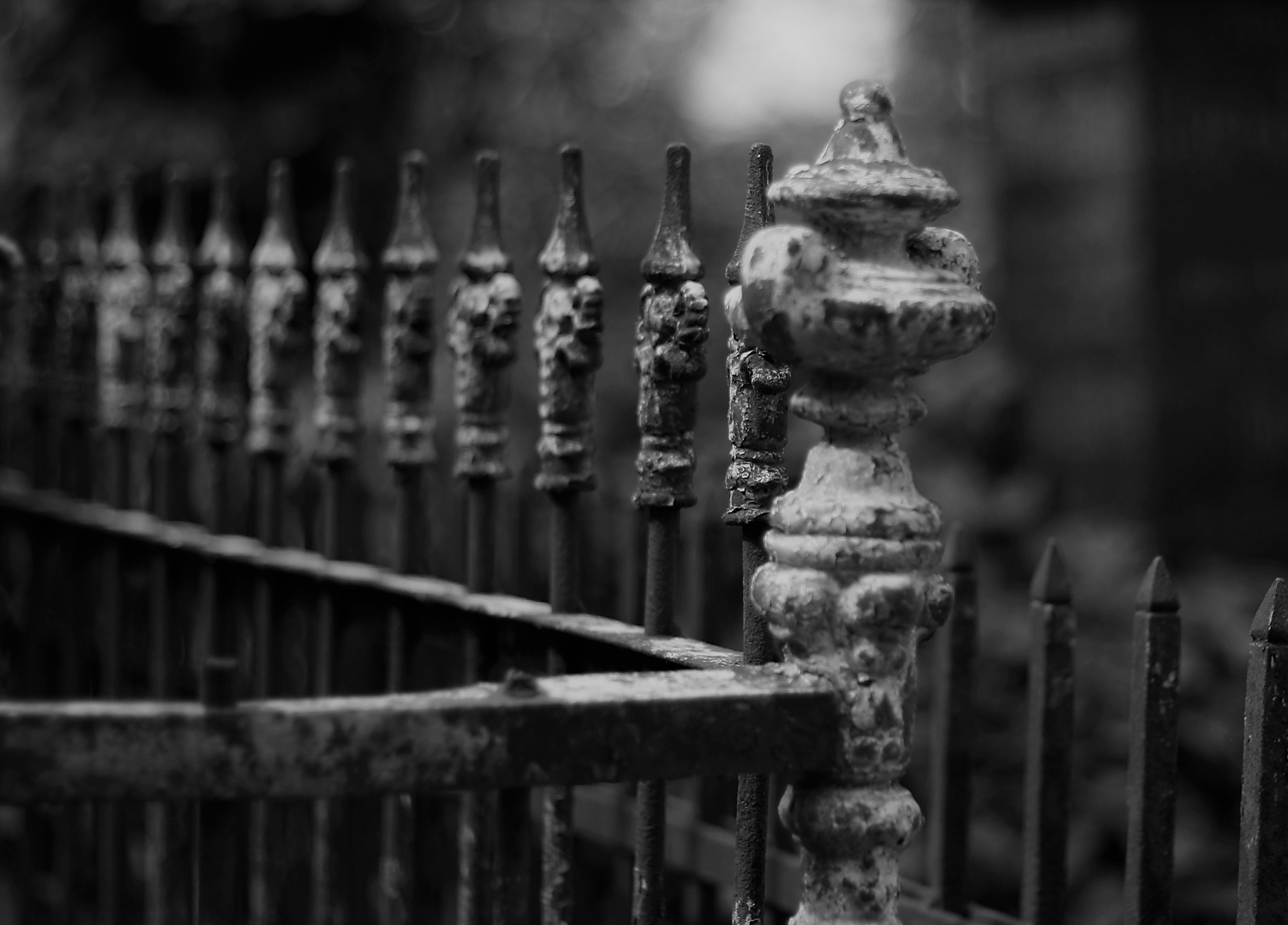 close-up of fence