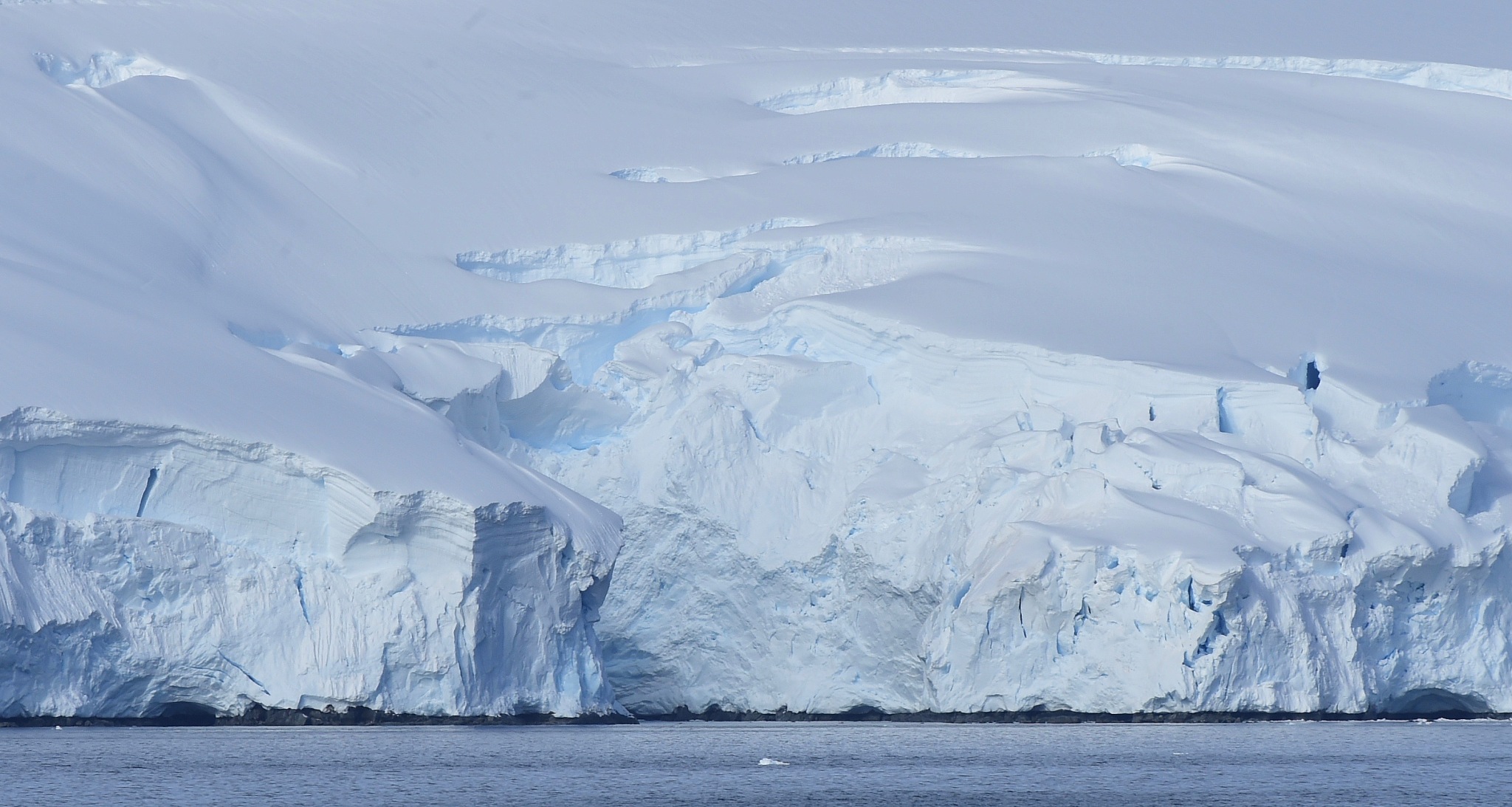 antarctica
