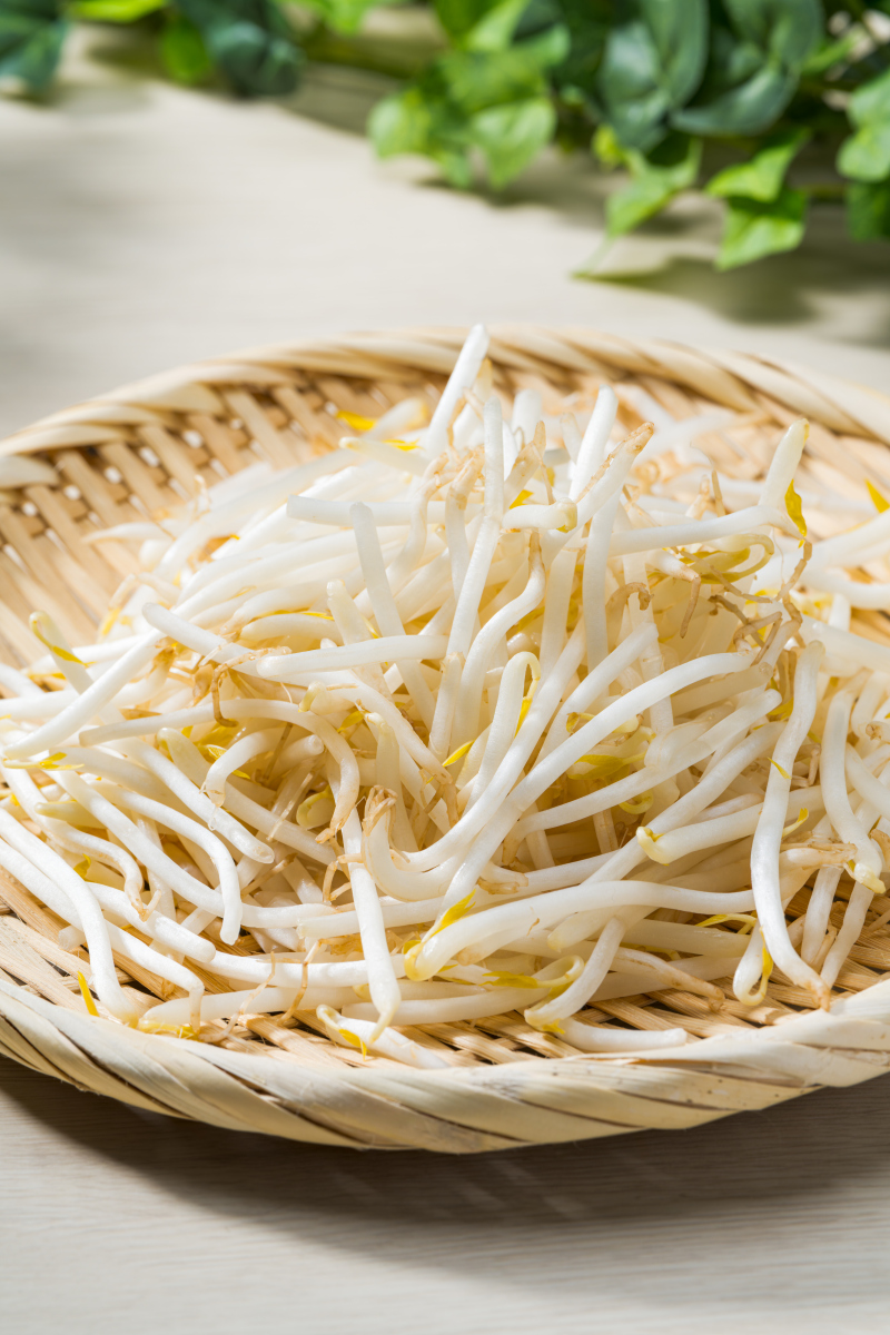 黄金芽几斤才炒成一斤