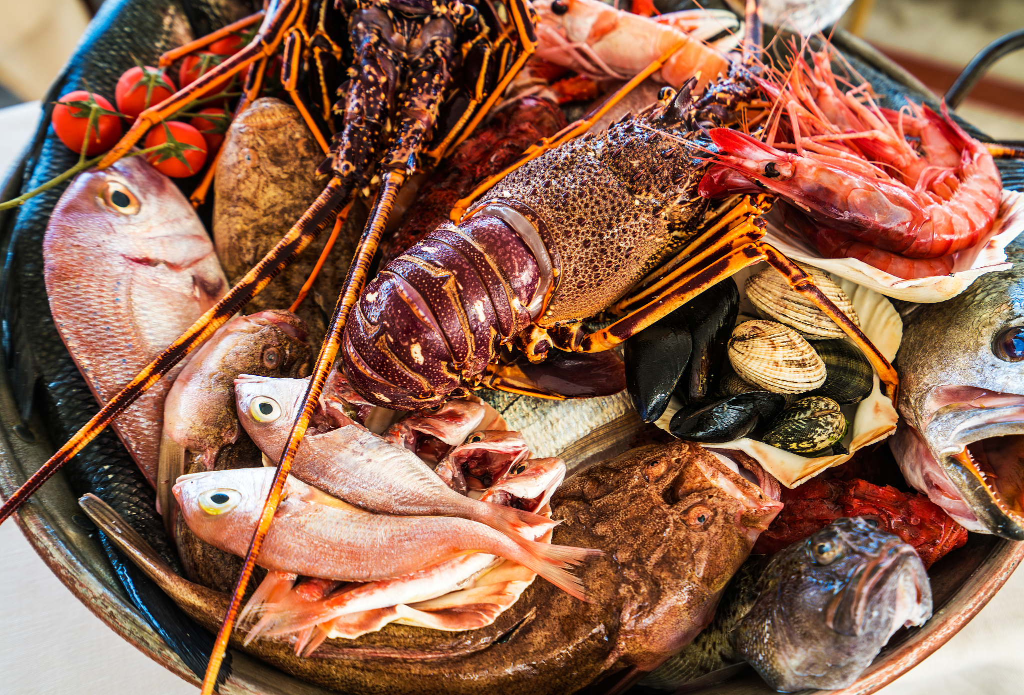 Shrimp with Red Heads: A Possible Pre-Transport Condition