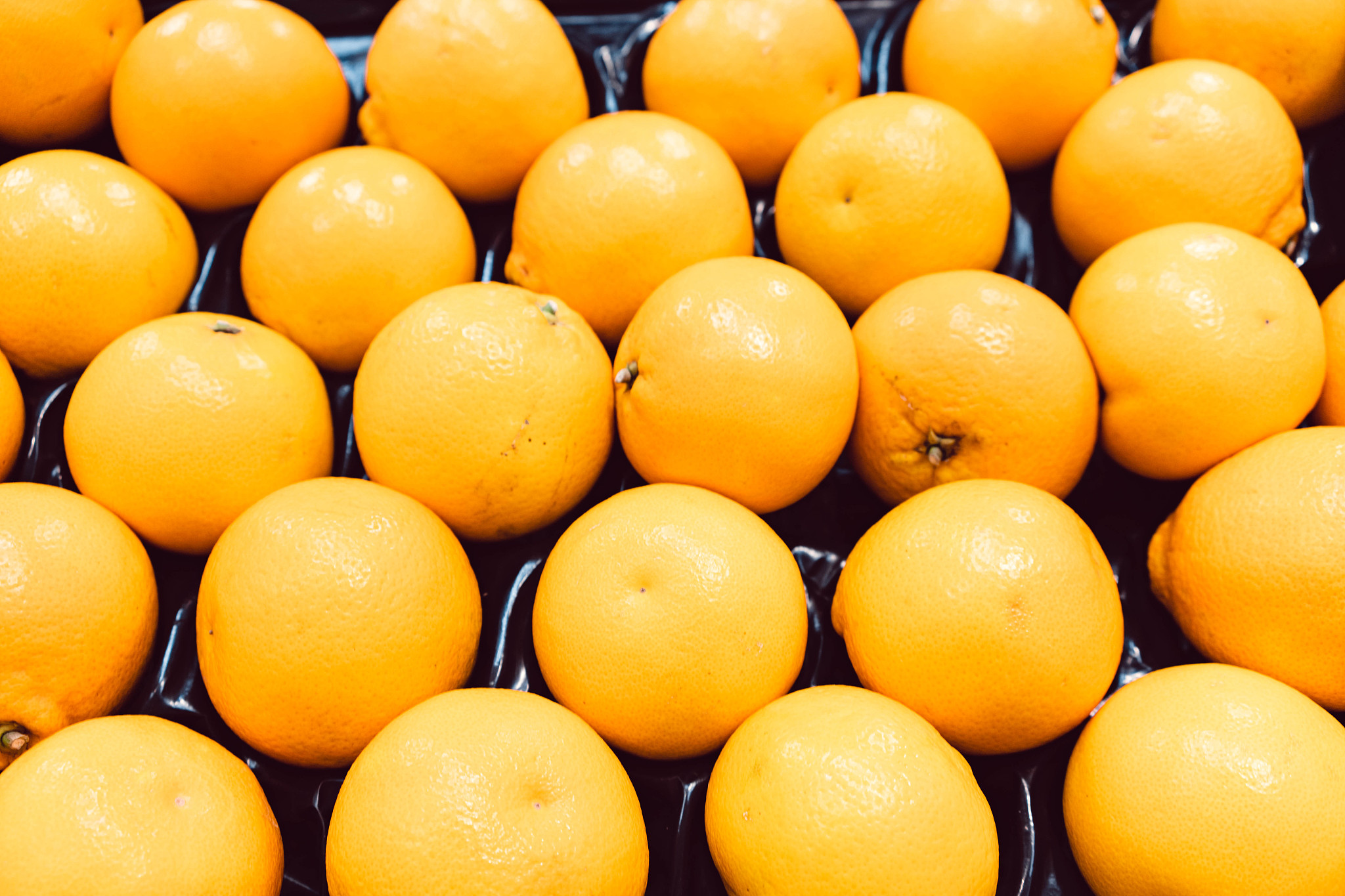 oranges at the market