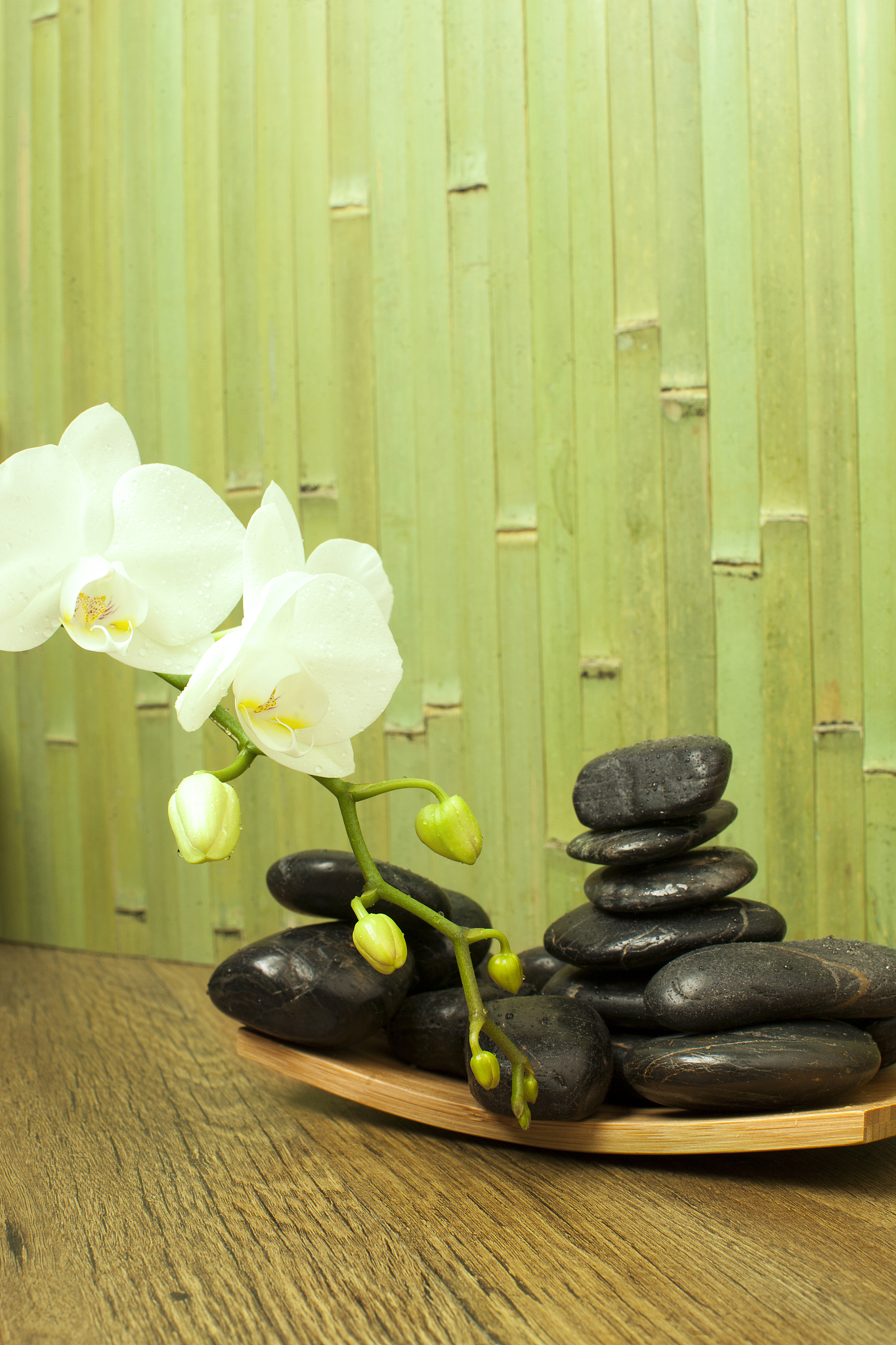 spa style.