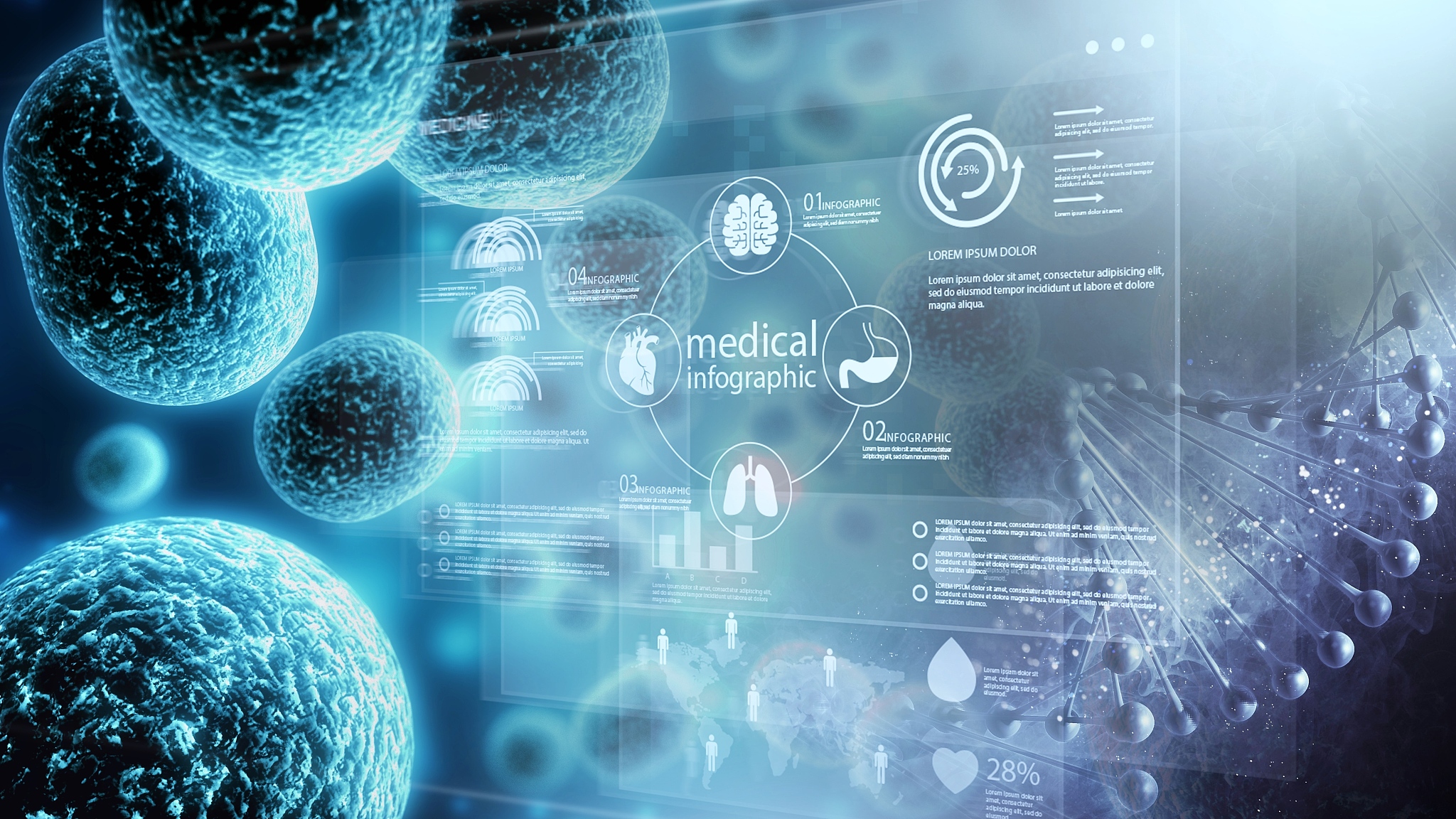 Stem Cell Reports 期刊: 干细胞与再生医学研究权威平台