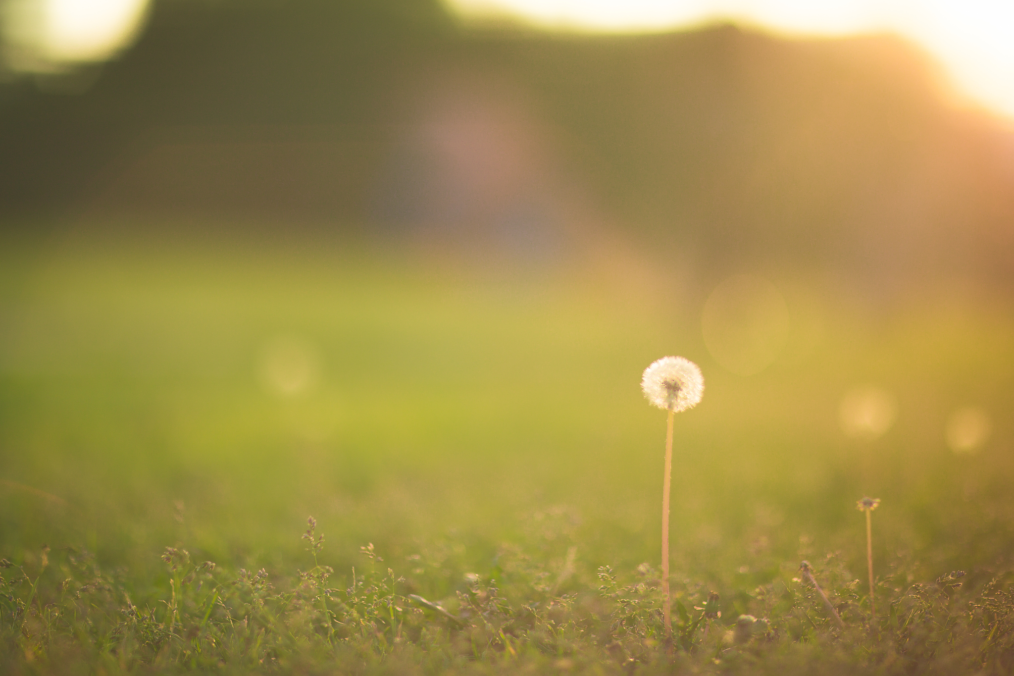 时光荏苒：珍惜当下，寻找生命的意义