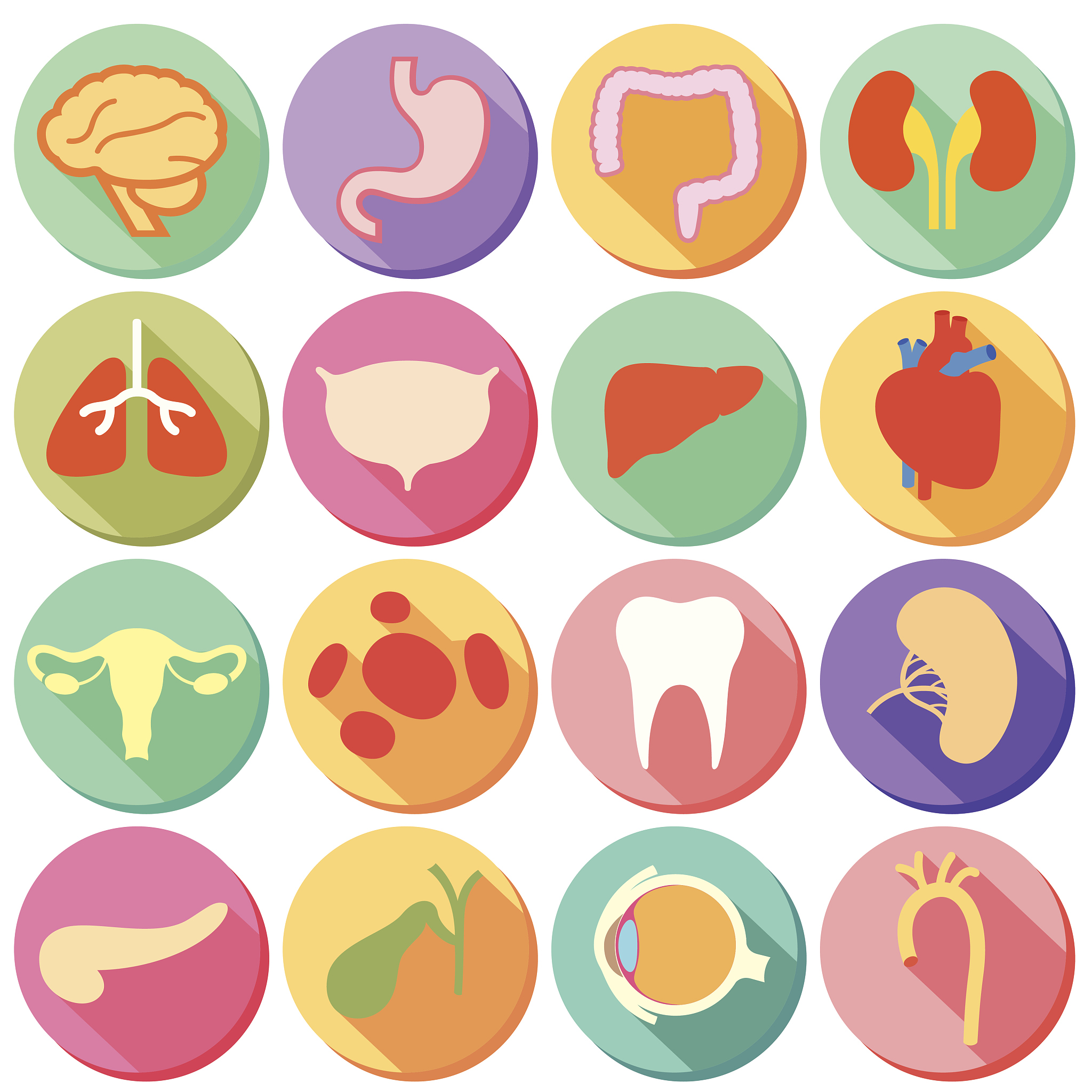 细胞是生命的基础：没有细胞就没有生命