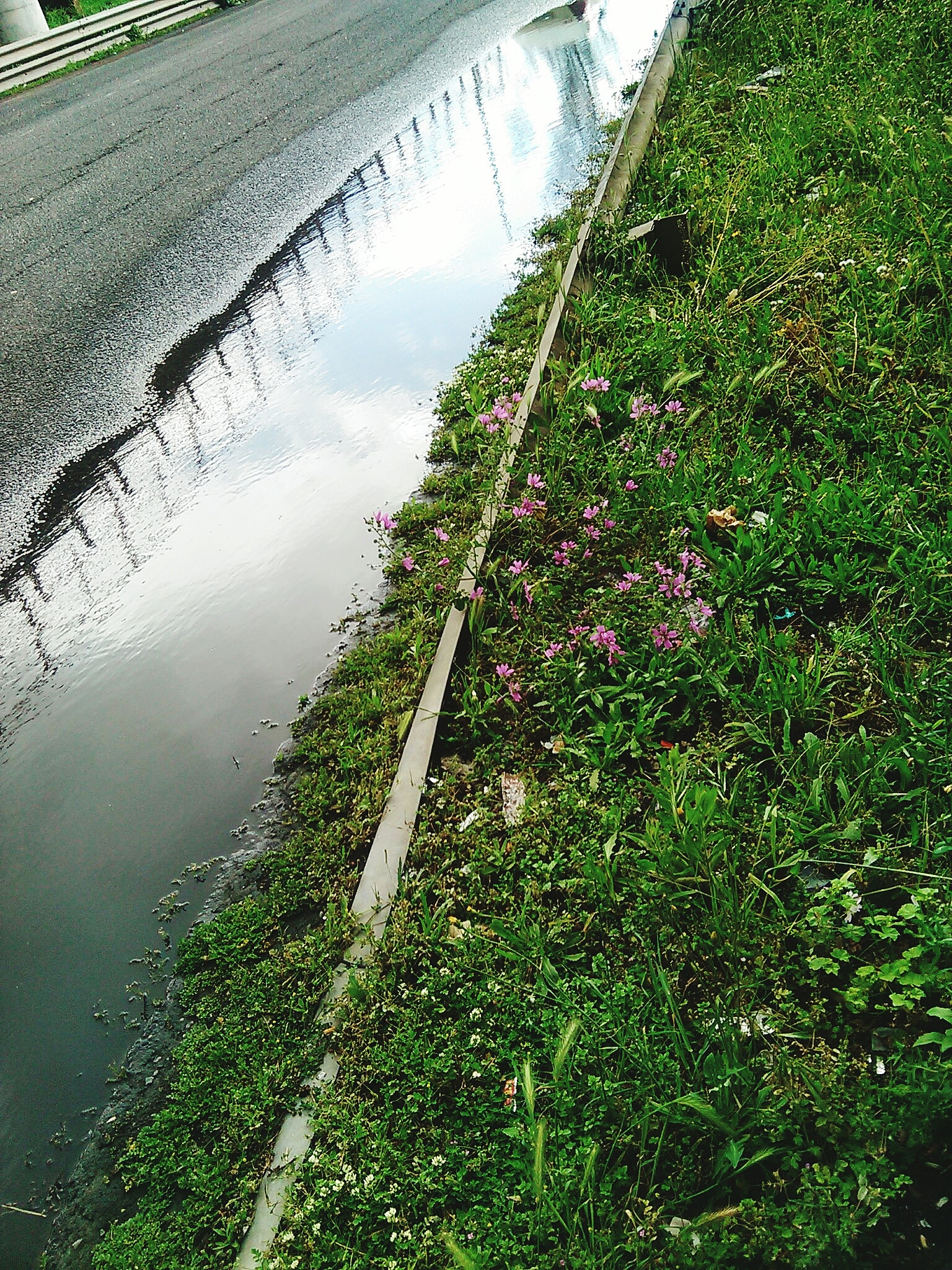 用三种方法叙述这句话：Irtem 等通过室内实验研究了孤立波在非淹没刚性植被存在条件下的斜坡上的爬高问题但未考虑岸滩坡度变化对刚性植被存在下孤立波爬高的影响结果表明当植物宽度足够长时植物与静水面的距离对波浪爬高的影响不大；在相同分布密度下植物的布置方式对爬高仍有影响而交错布置下的爬高最小。