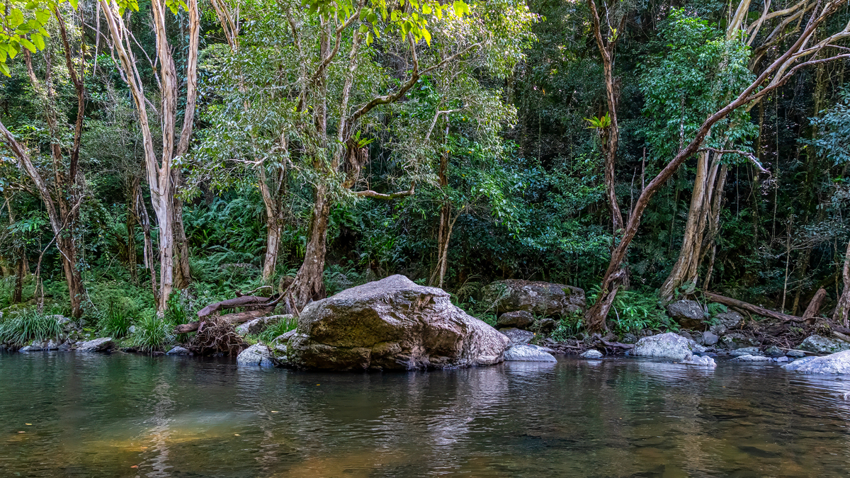 In a forest there was a girl named Lily She was a very beautiful girl with long black shiny hair big eyes and a lovely figure Lily was a very independent and self-sufficient girl who liked to take wal