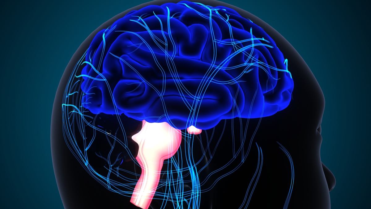 以音乐与大脑：音乐如何影响我们的大脑？为题写一篇700字文章