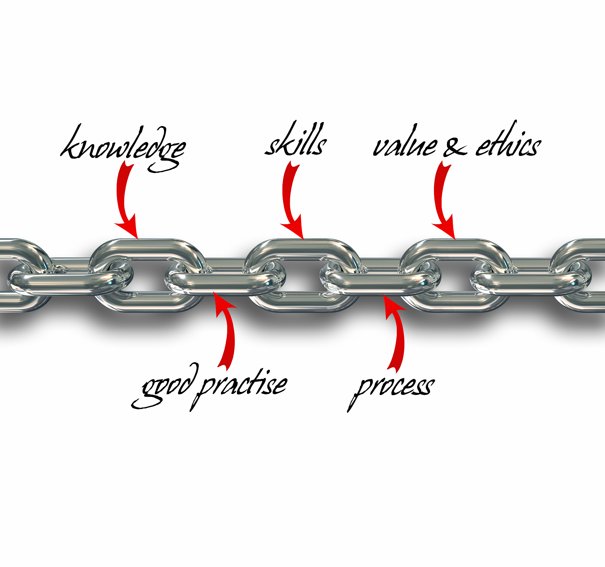 拥有脂蛋白信号肽的外膜蛋白如何锚定在外膜表面