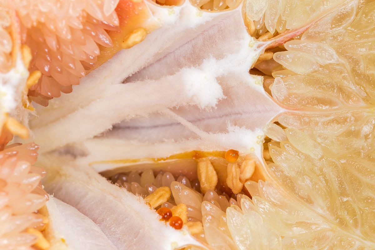 高中毕业学口腔医学专业值得吗？前景、挑战与选择建议