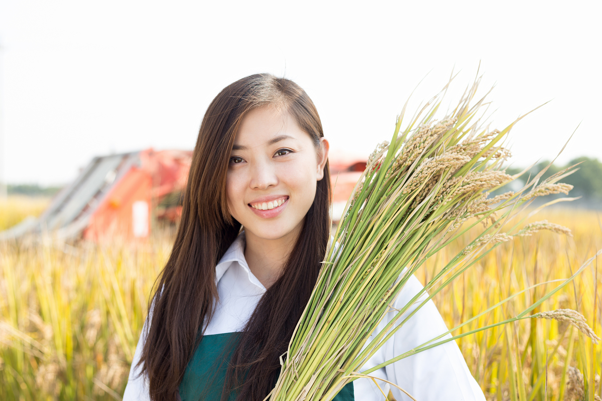 中国乡土社会基层结构：村级组织与村民自治组织