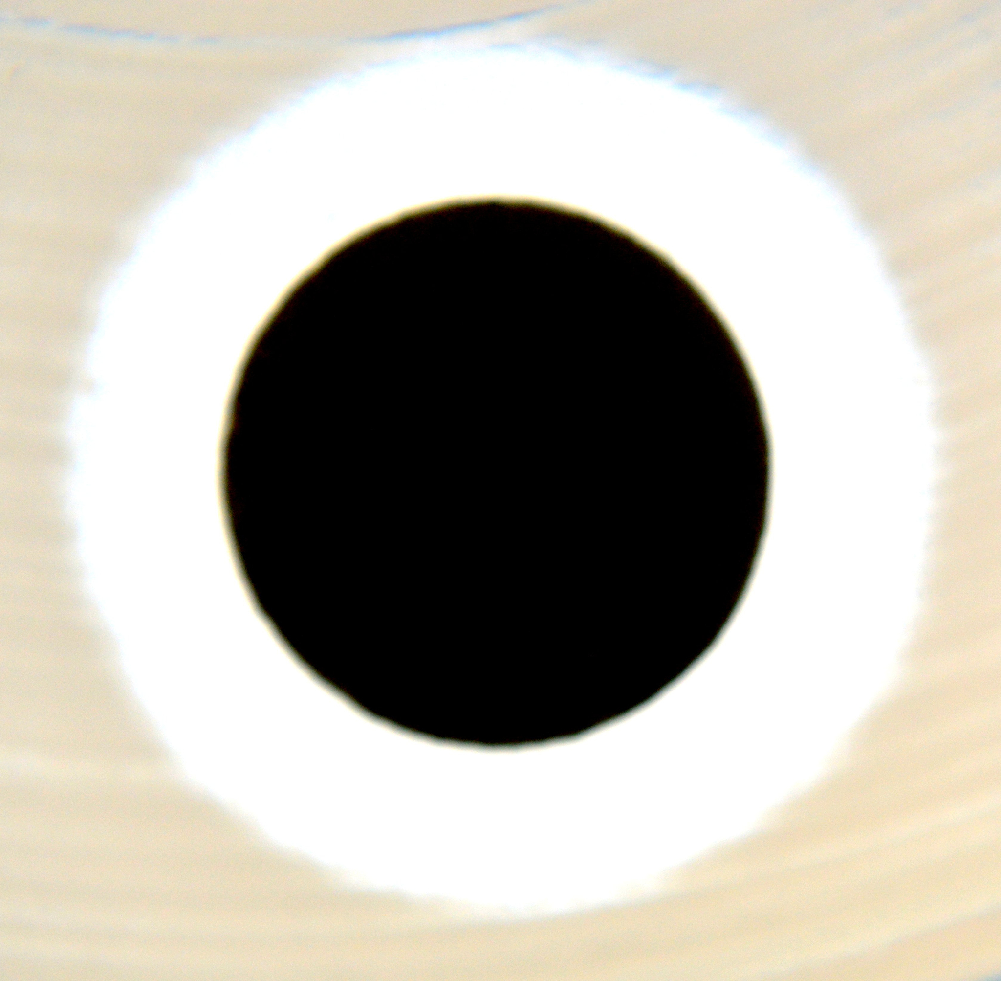 霍氏肠杆菌酶促反应实验：详细步骤与分析指南