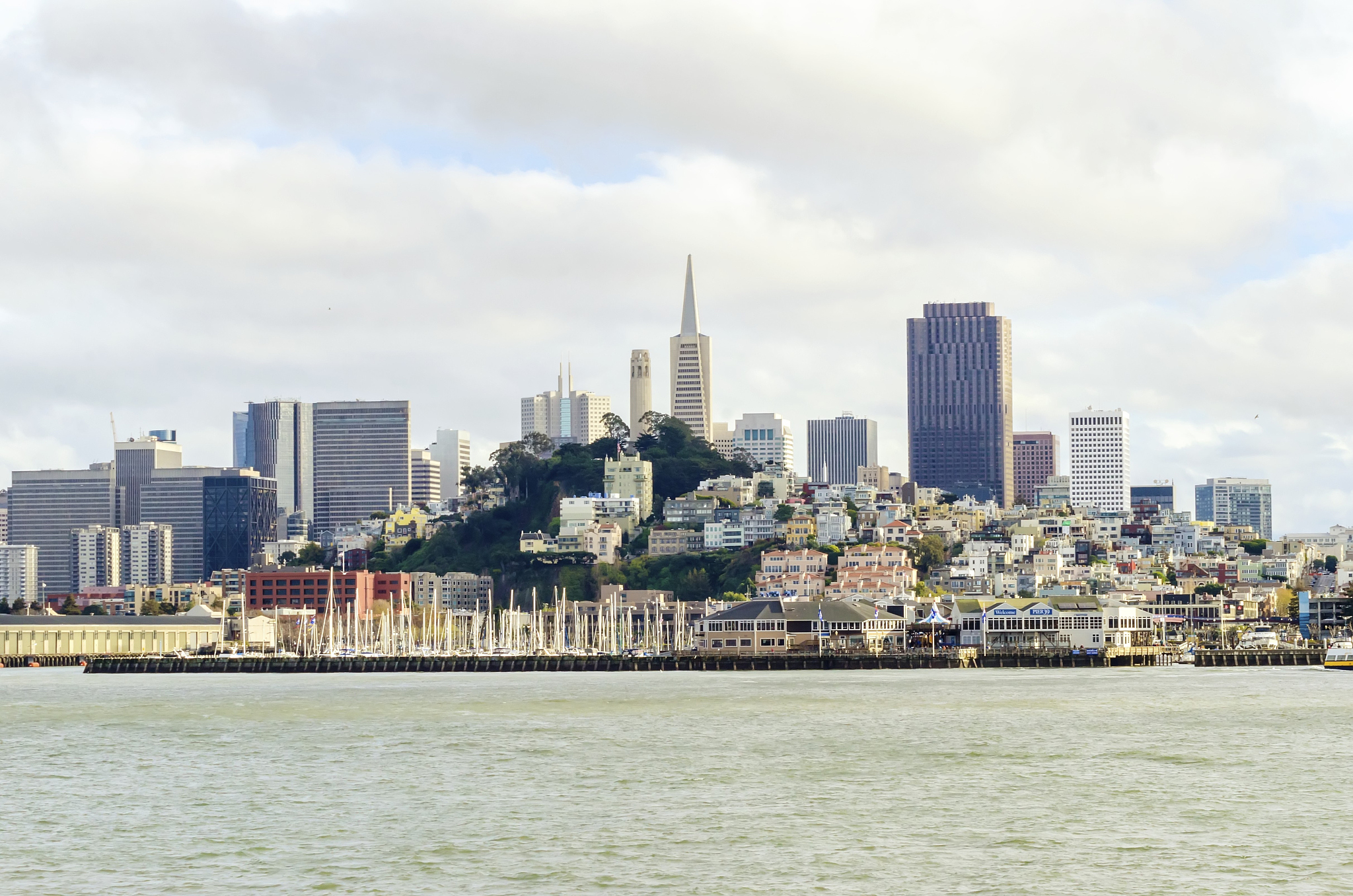 san francisco skyline, california