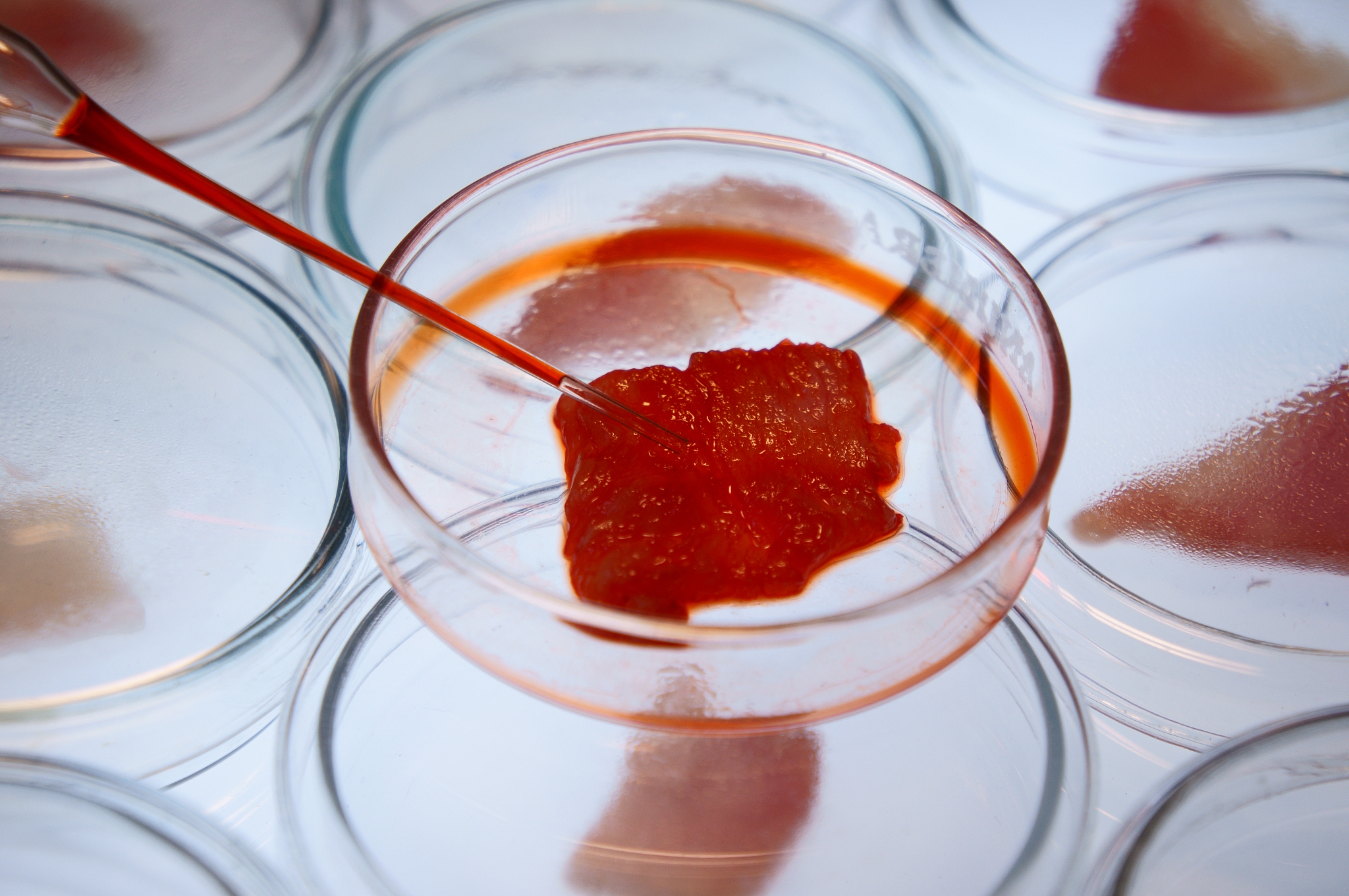 云南轻工业学校2022年招生简章