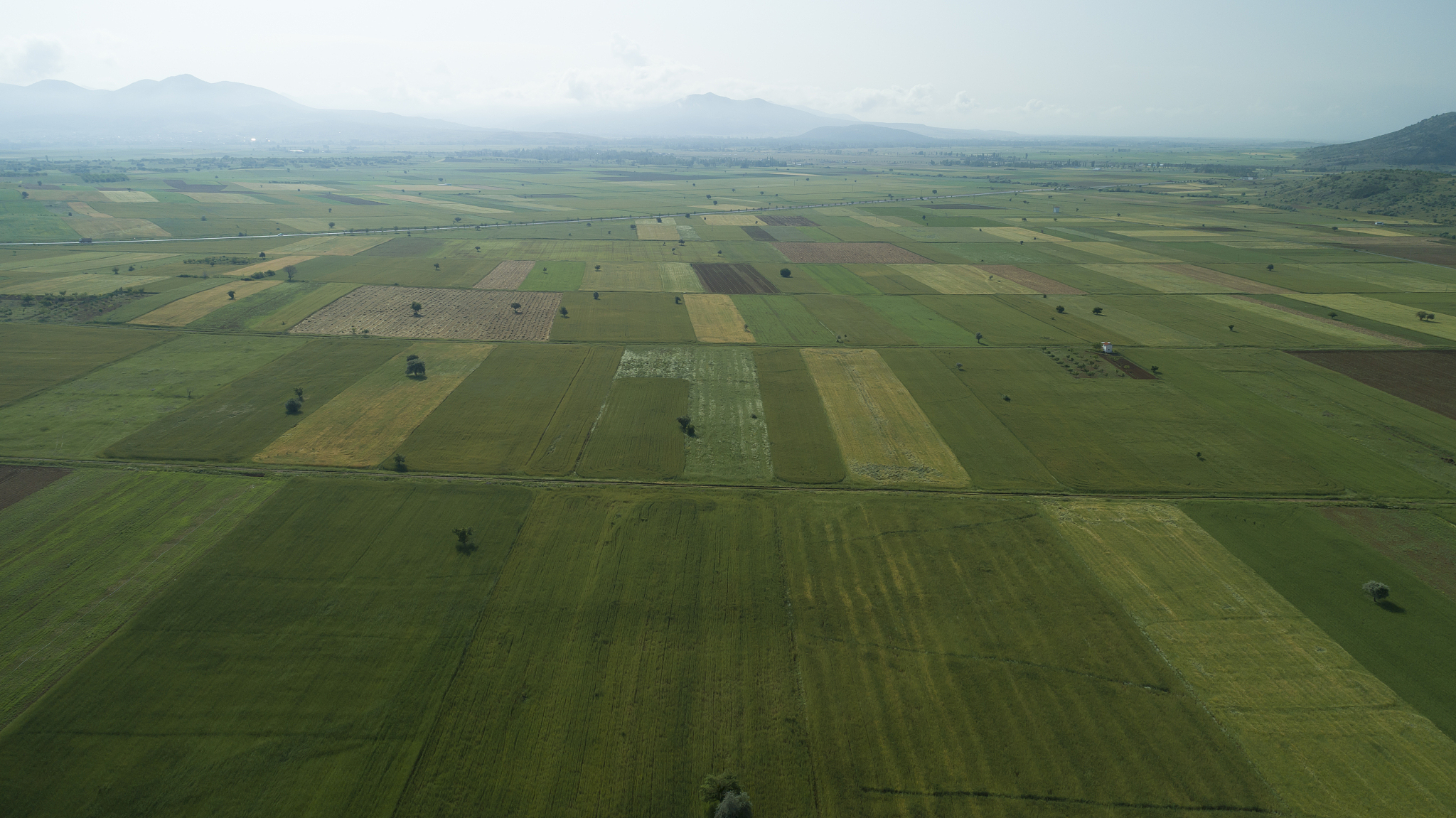 large agricultural fields on konya plain/turkey