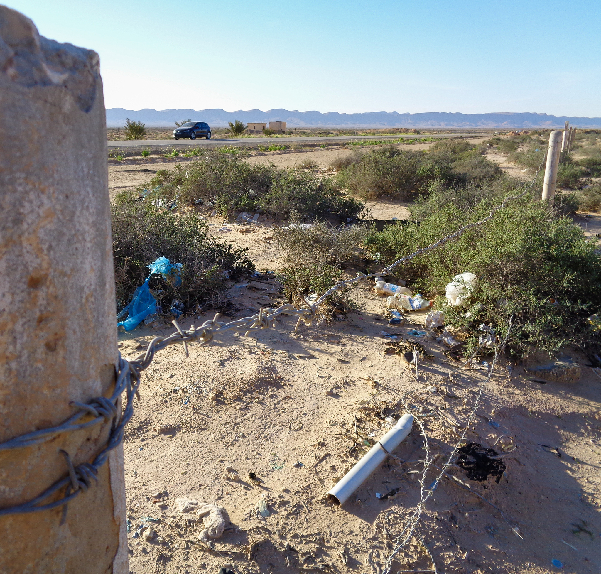 橡胶树砍伐会产生碳排放吗？对气候变化的影响