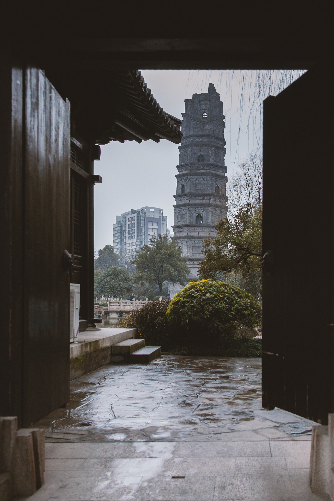 云南林业职业技术学院2019年招生专业：三年制中专/五年制大专